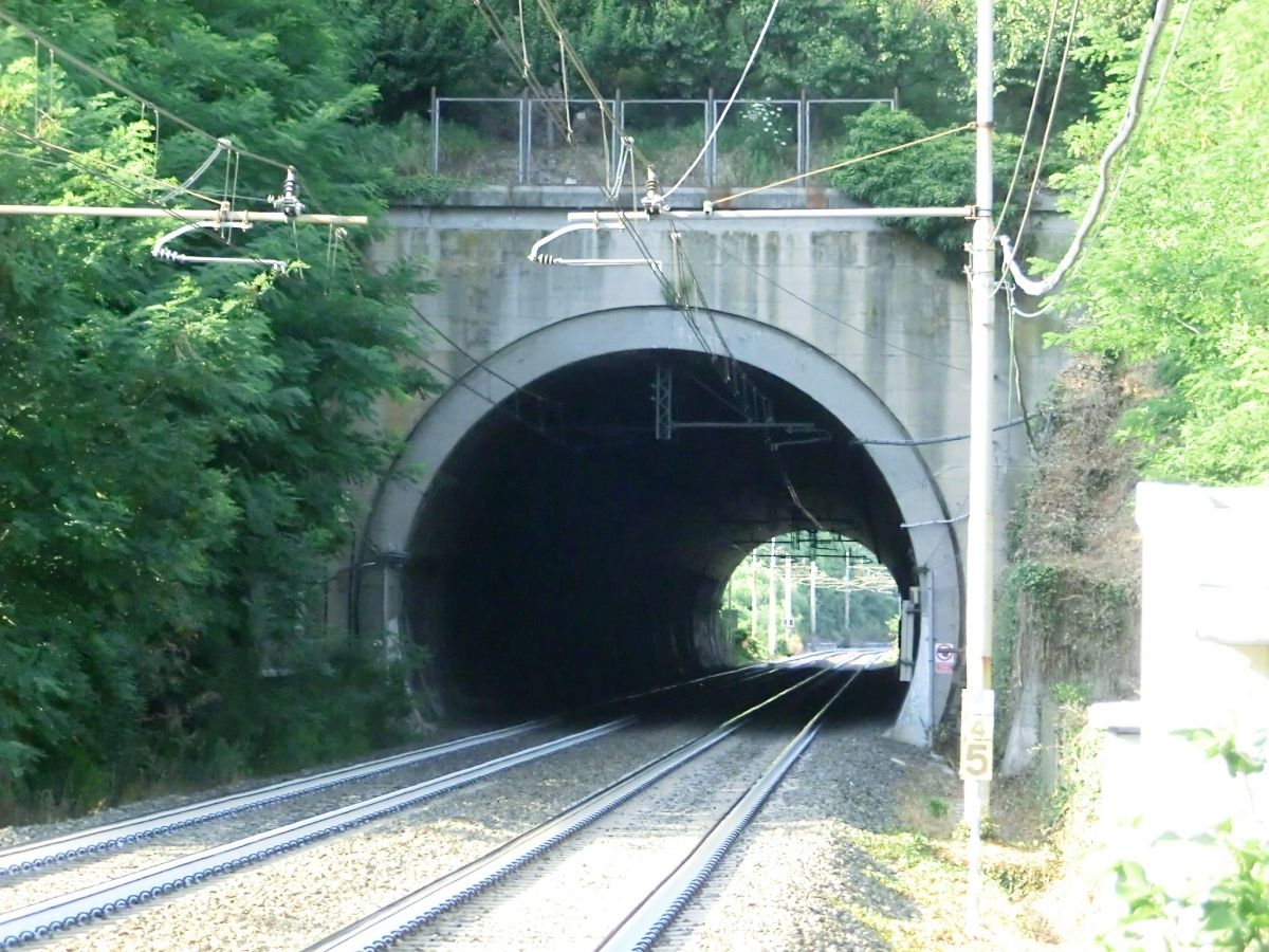Tunnel Tana 