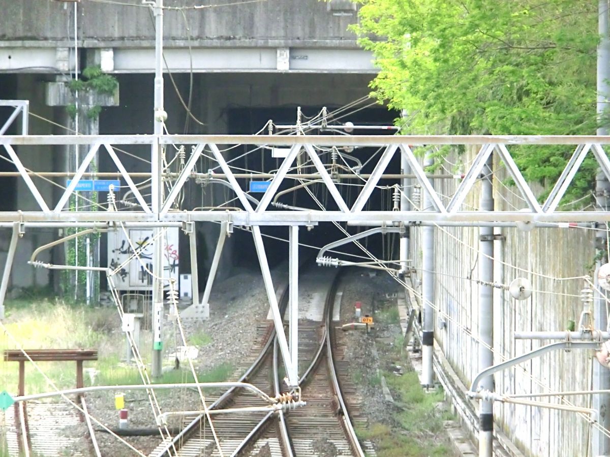Termine d'Arcola Tunnel northern portal 