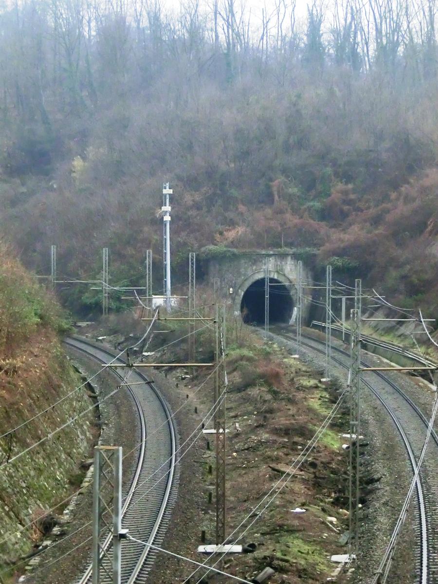 Vergiate odd track Tunnel eastern portal 