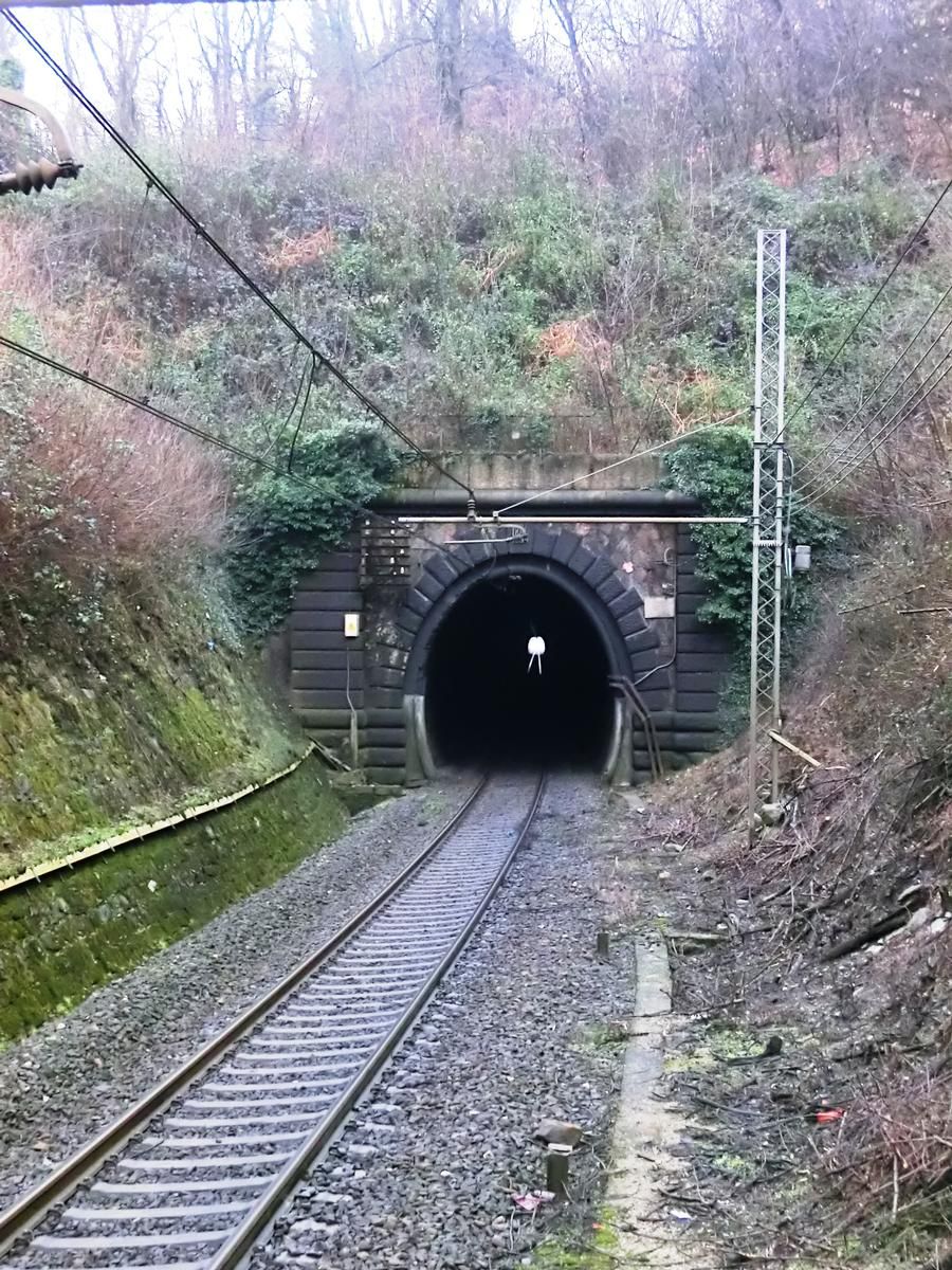 Tunnel de Vergiate (sud) 