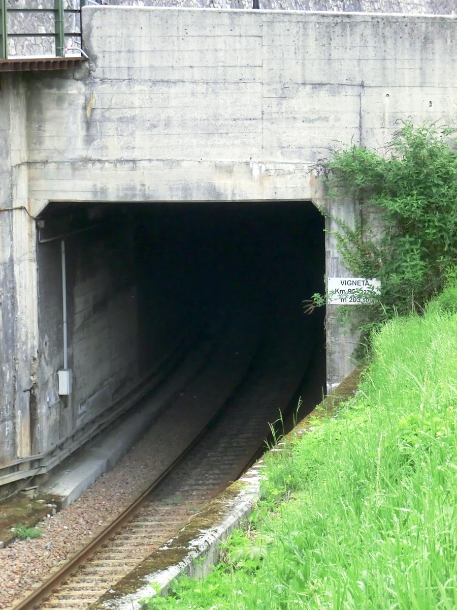 Vigneta Tunnel western portal 