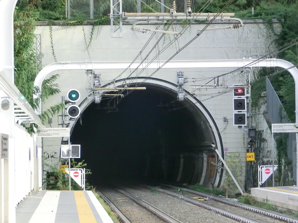 Villa Alberici Tunnel northern portal 
