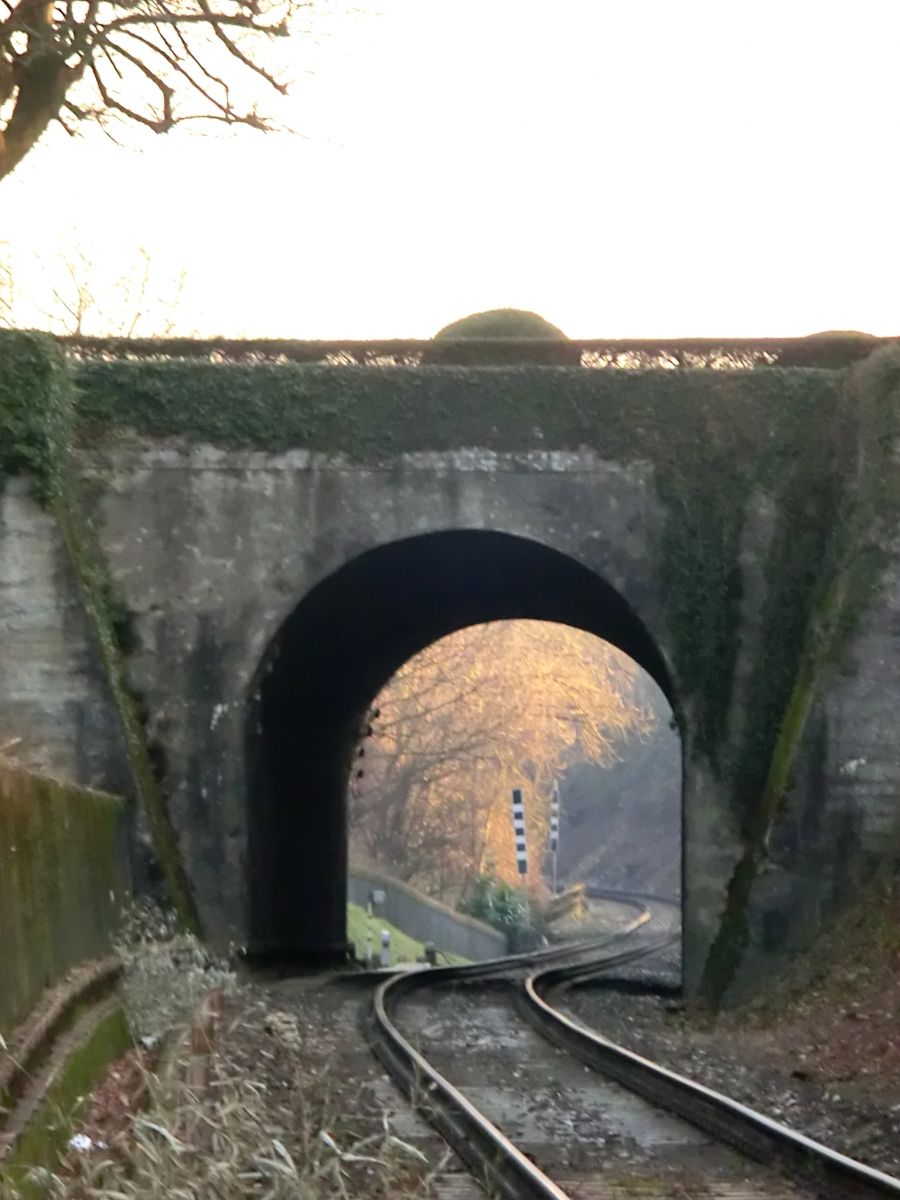 Villa Orlanda Tunnel northern portal 