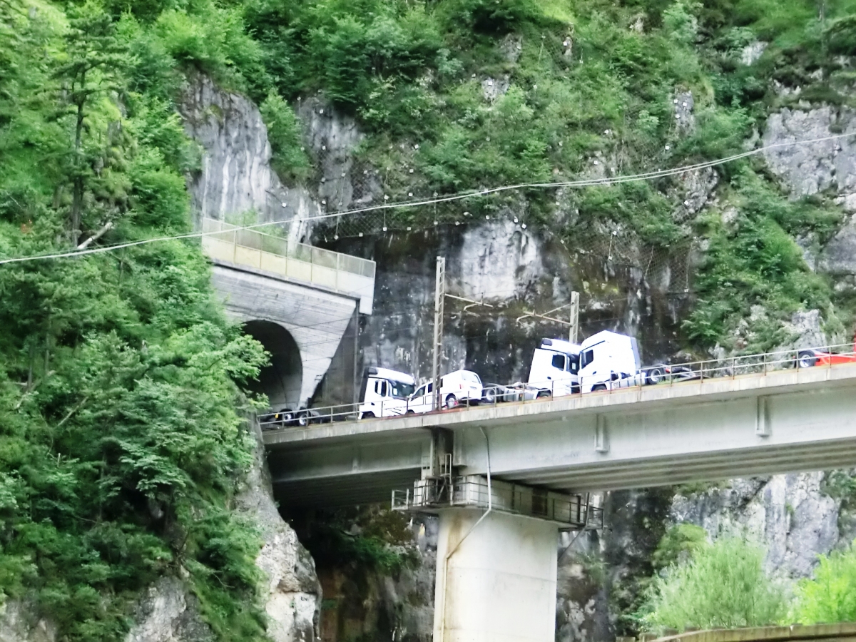 Zuc dal Bor Tunnel northern portal and Rio Ponte di Muro Viaduct 