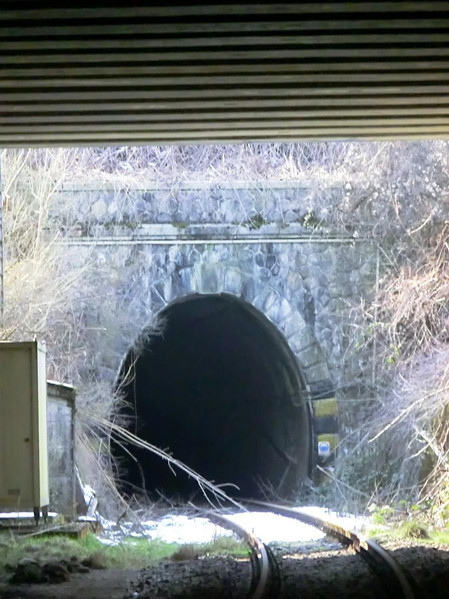 Tunnel Gattico 