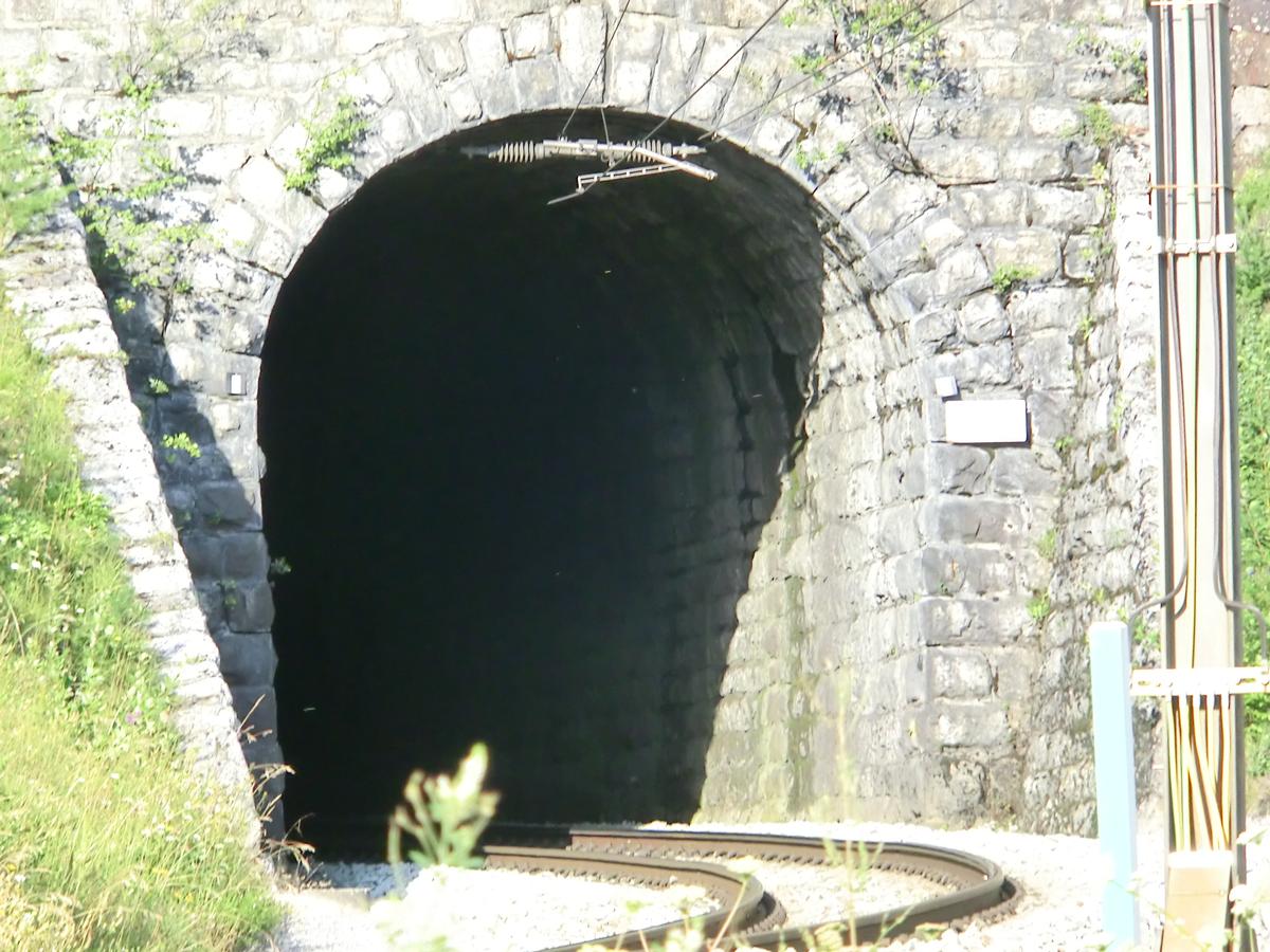 Tunnel de Greifenstein 