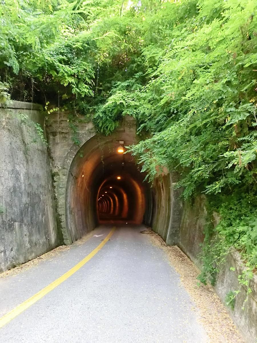 Tunnel Montalbo 