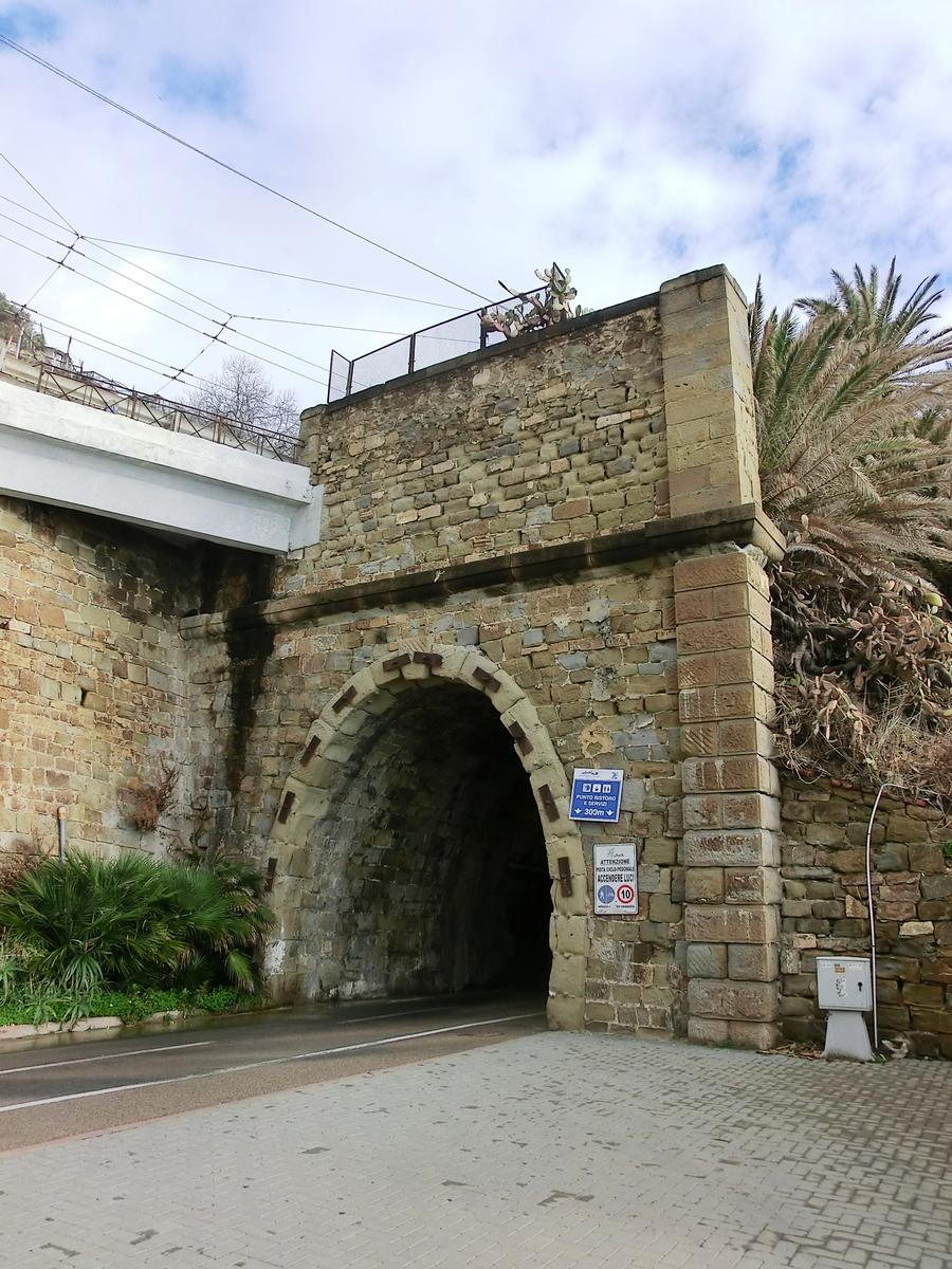 Daino bicycle and pedestrian Tunnel western portal 