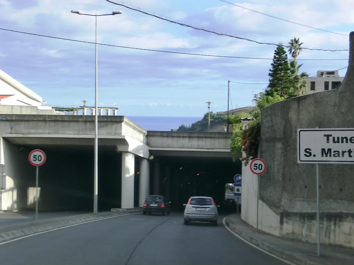 São Martinho Tunnel northern portals 
