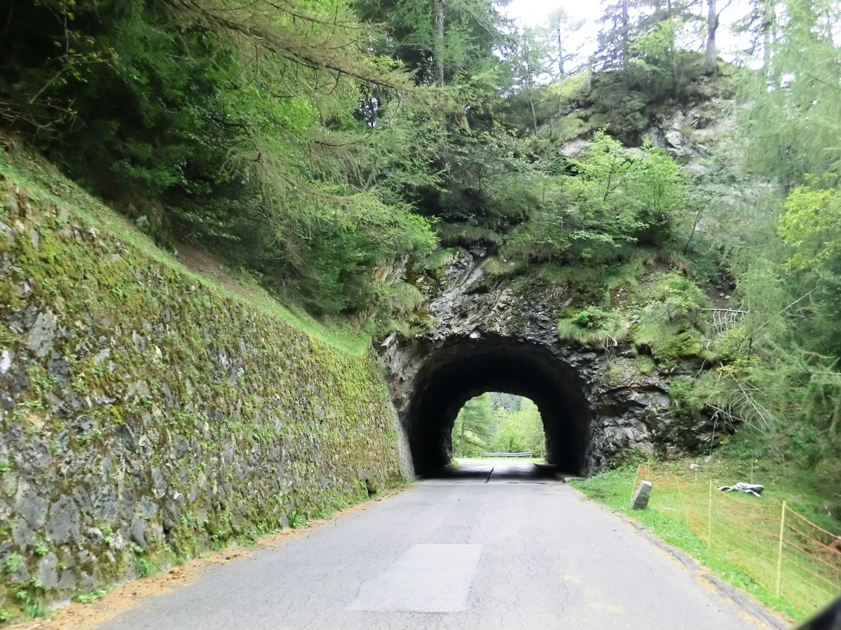 Balmeta Tunnel northern portal 