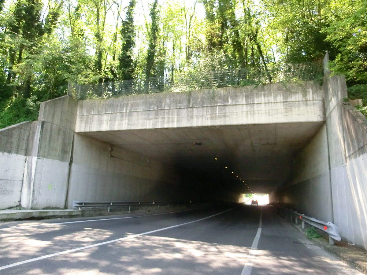 Tunnel de Timonchio 