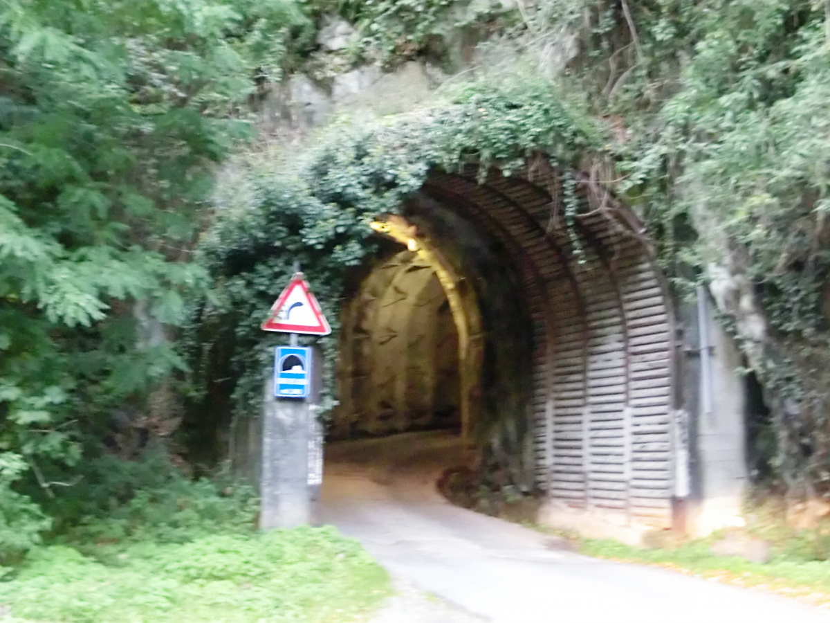 Dosso dell'Acqua Tunnel northern portal 