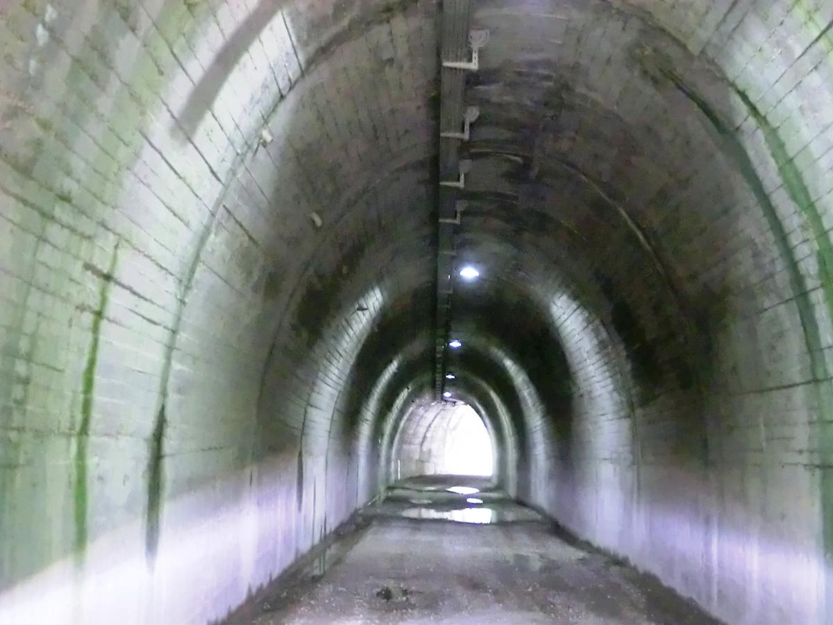 Tunnel Senaiga 1 