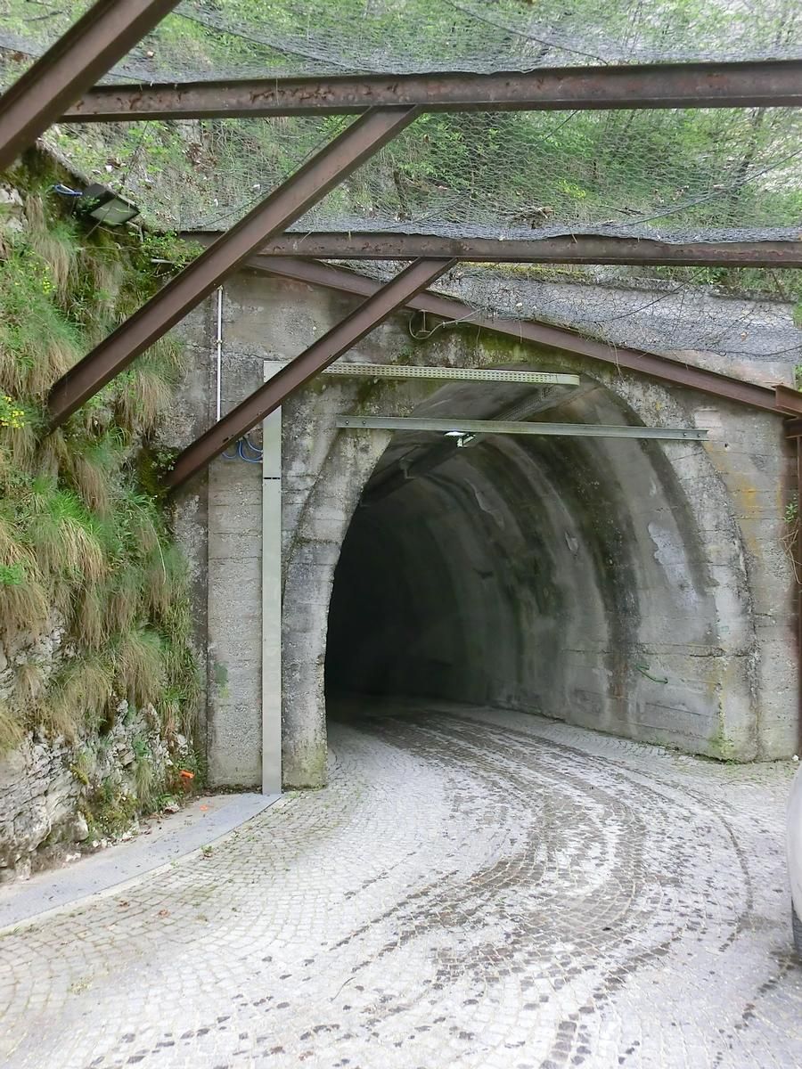 Senaiga 1 Tunnel western portal 