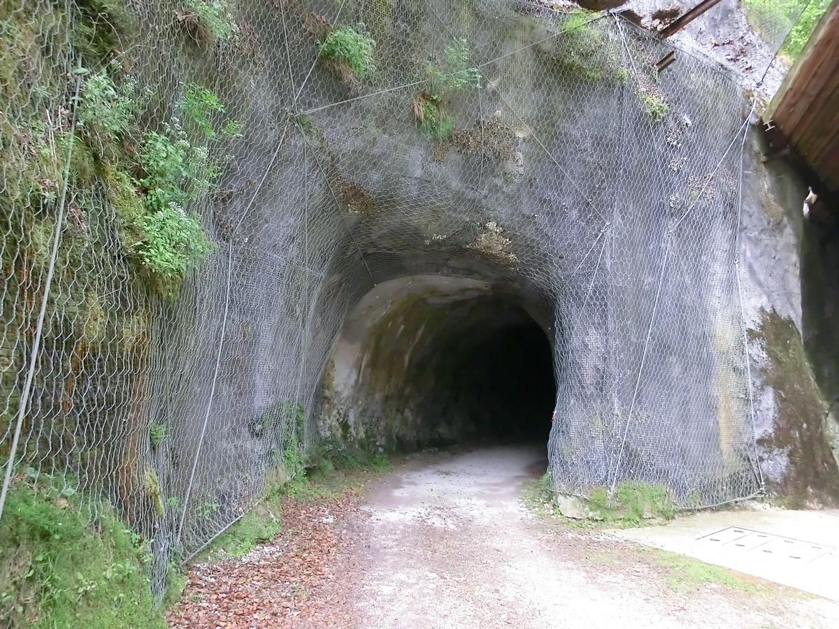 Senaiga 2 Tunnel southern portal 