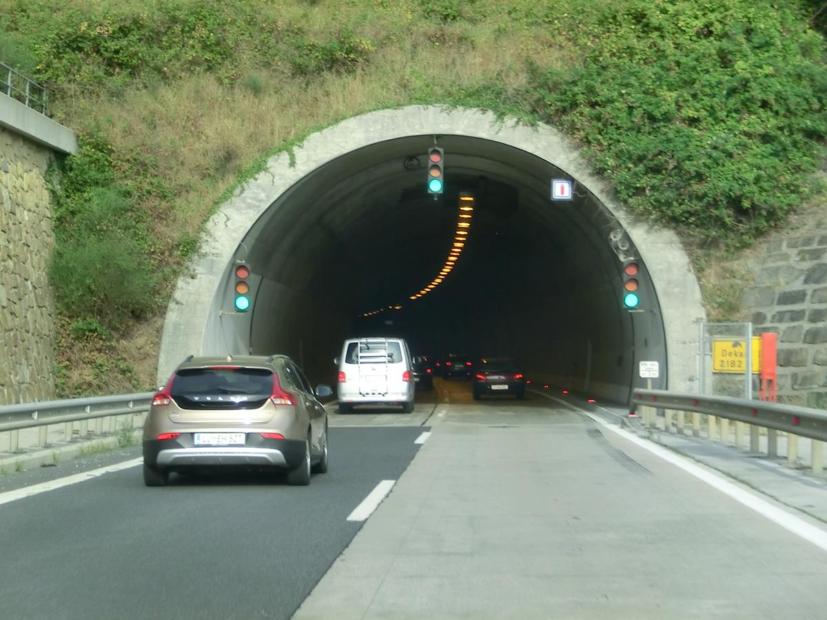 Dekani Tunnel western portal 