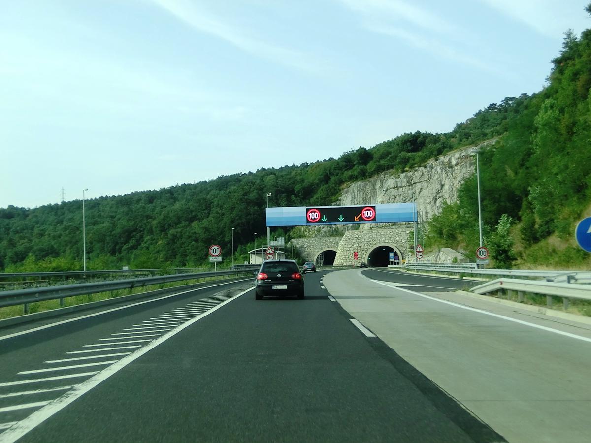 Kastelec Tunnel western portals 