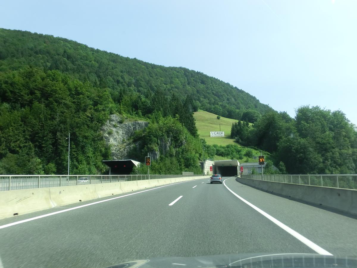 Tunnel de Ločica 