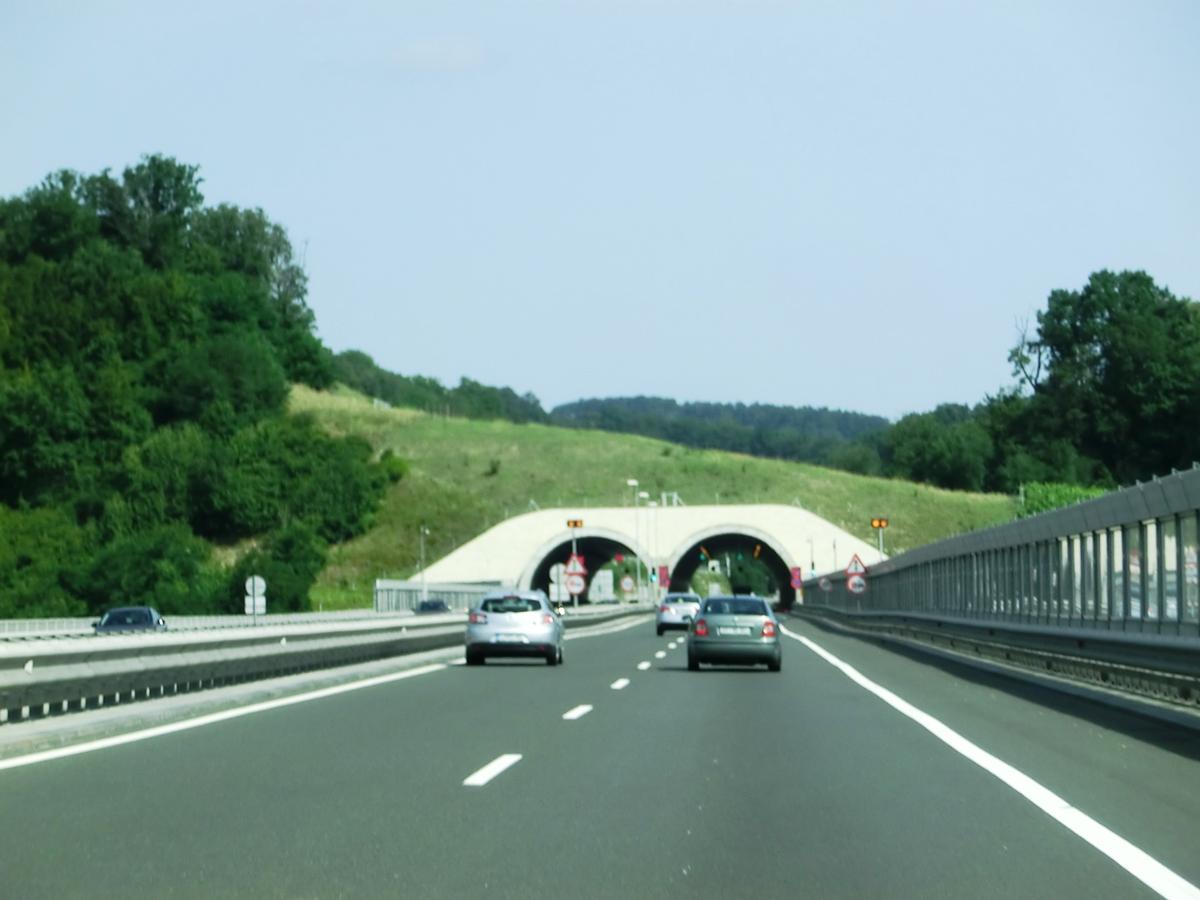 Malečnik Tunnel southern portals 