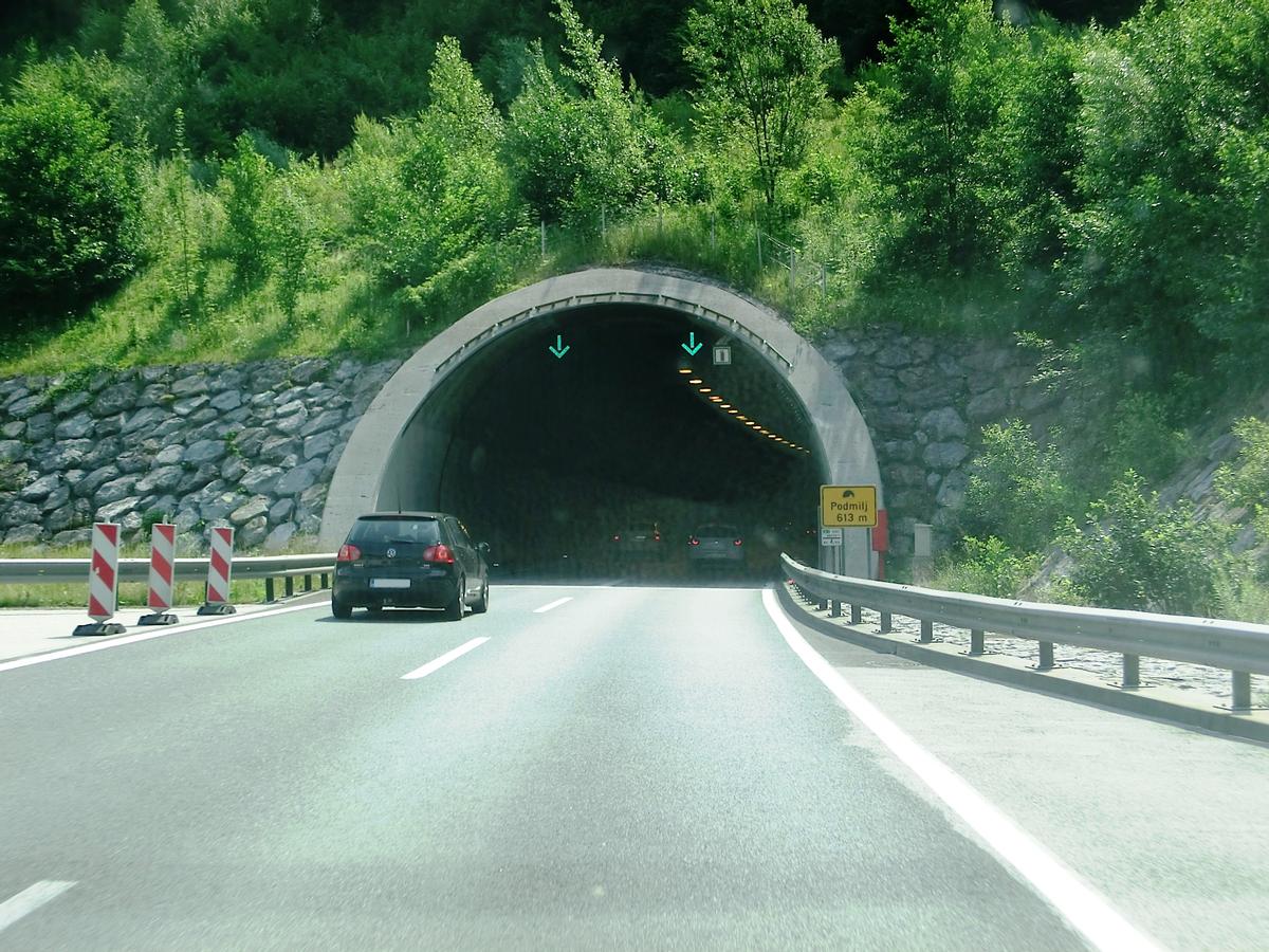 Podmilj Tunnel western portal 
