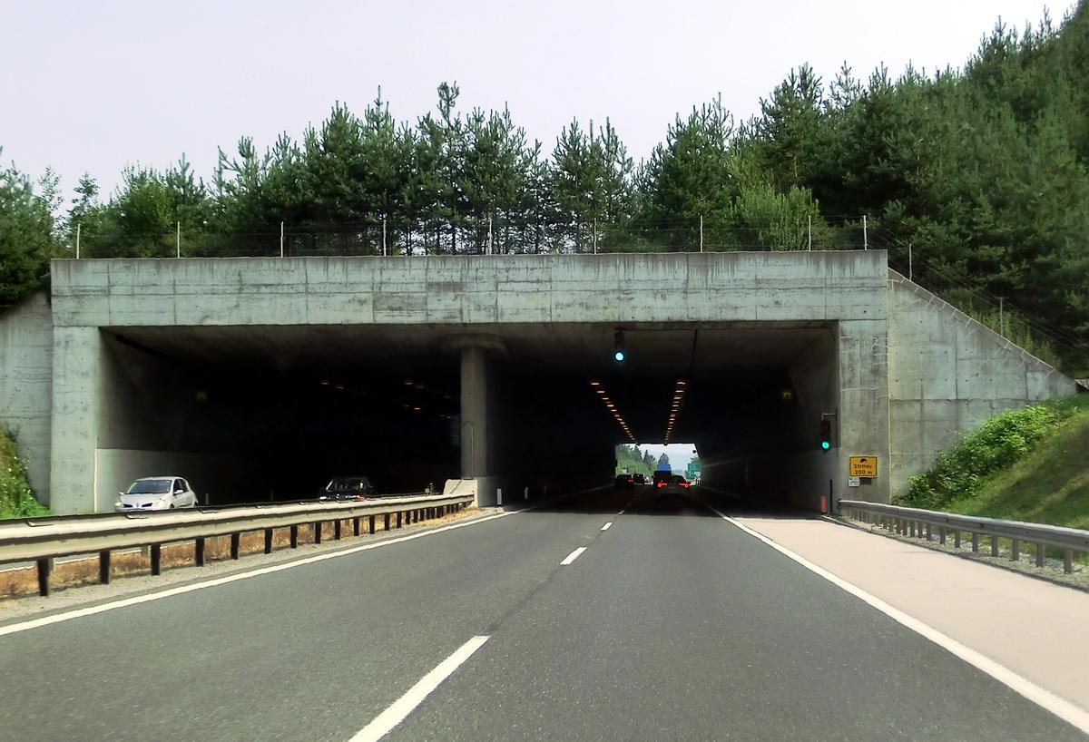 Strmec Tunnel southern portals 