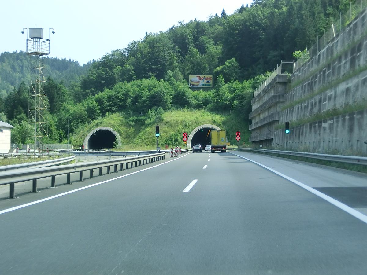 Trojane Tunnel western portals 