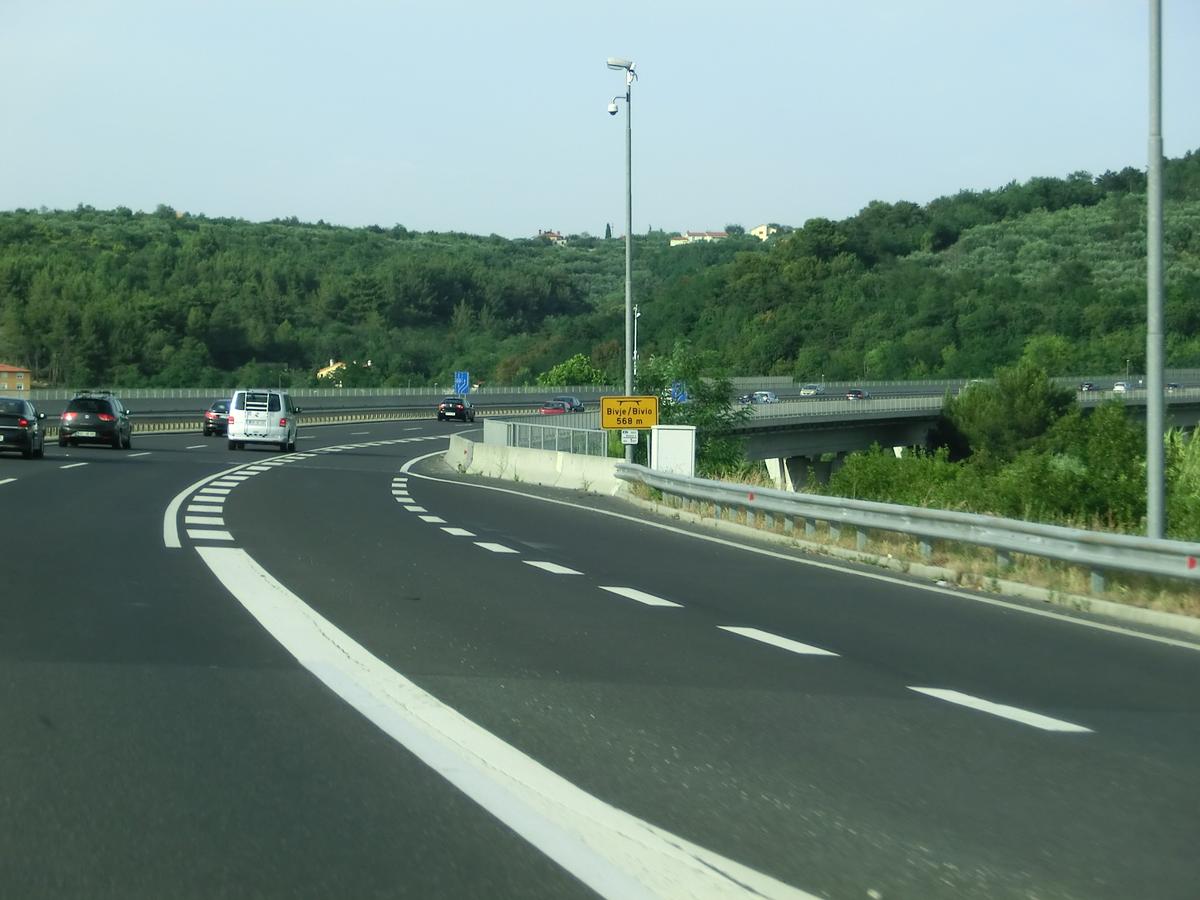 Bivje/Bivio Viaduct 