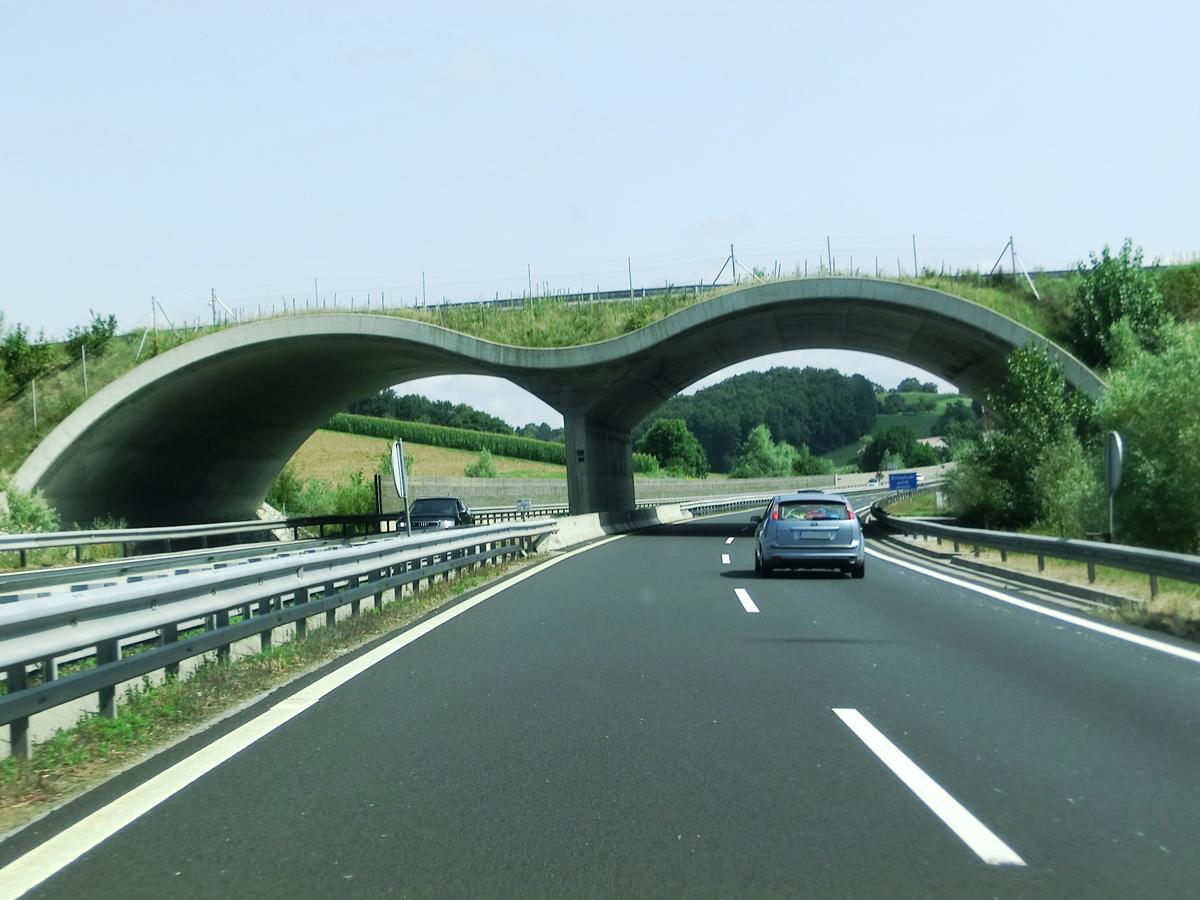 Brengova Ecoduct western portals 