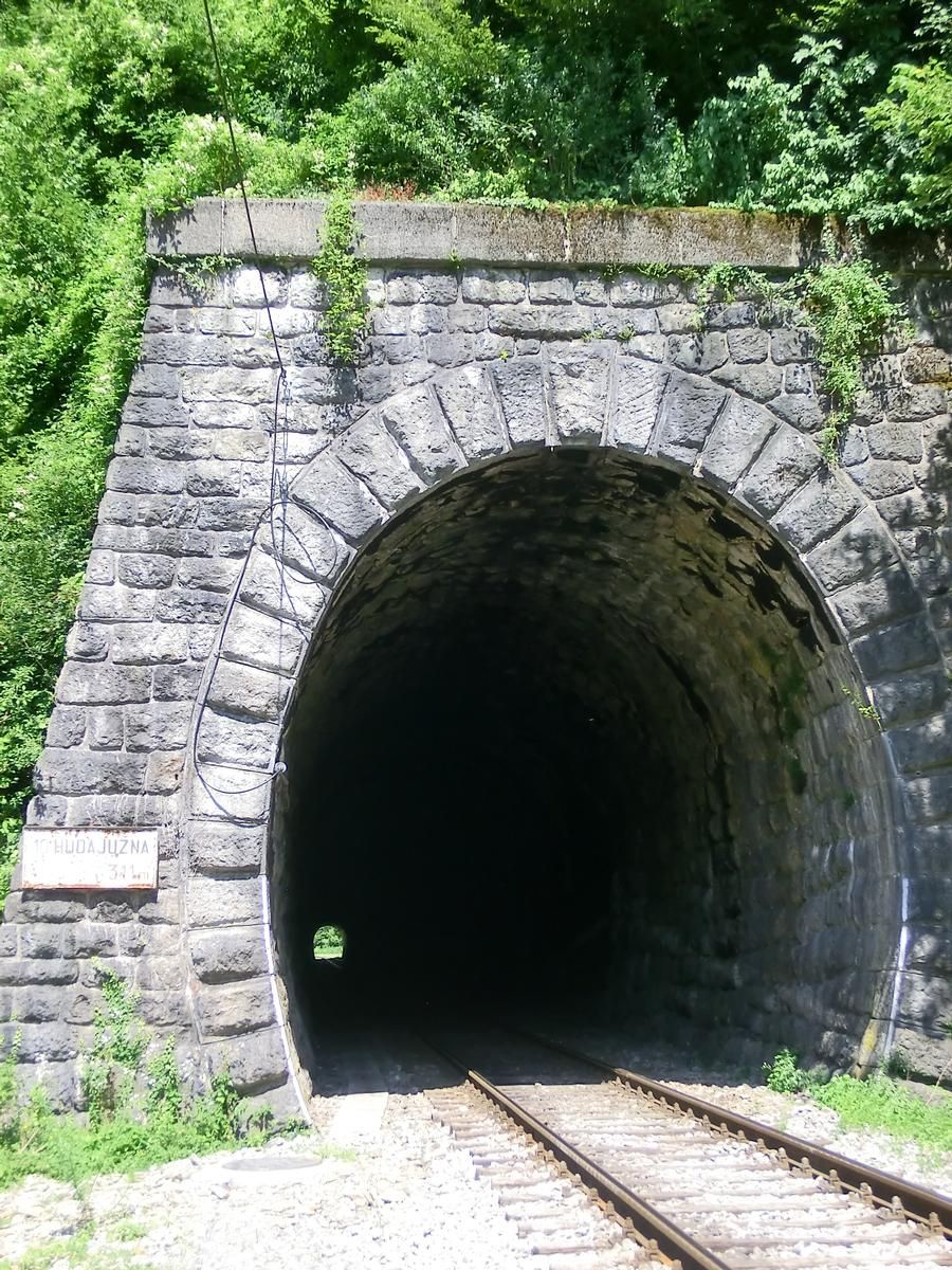Huda Juzna Tunnel southern portal 