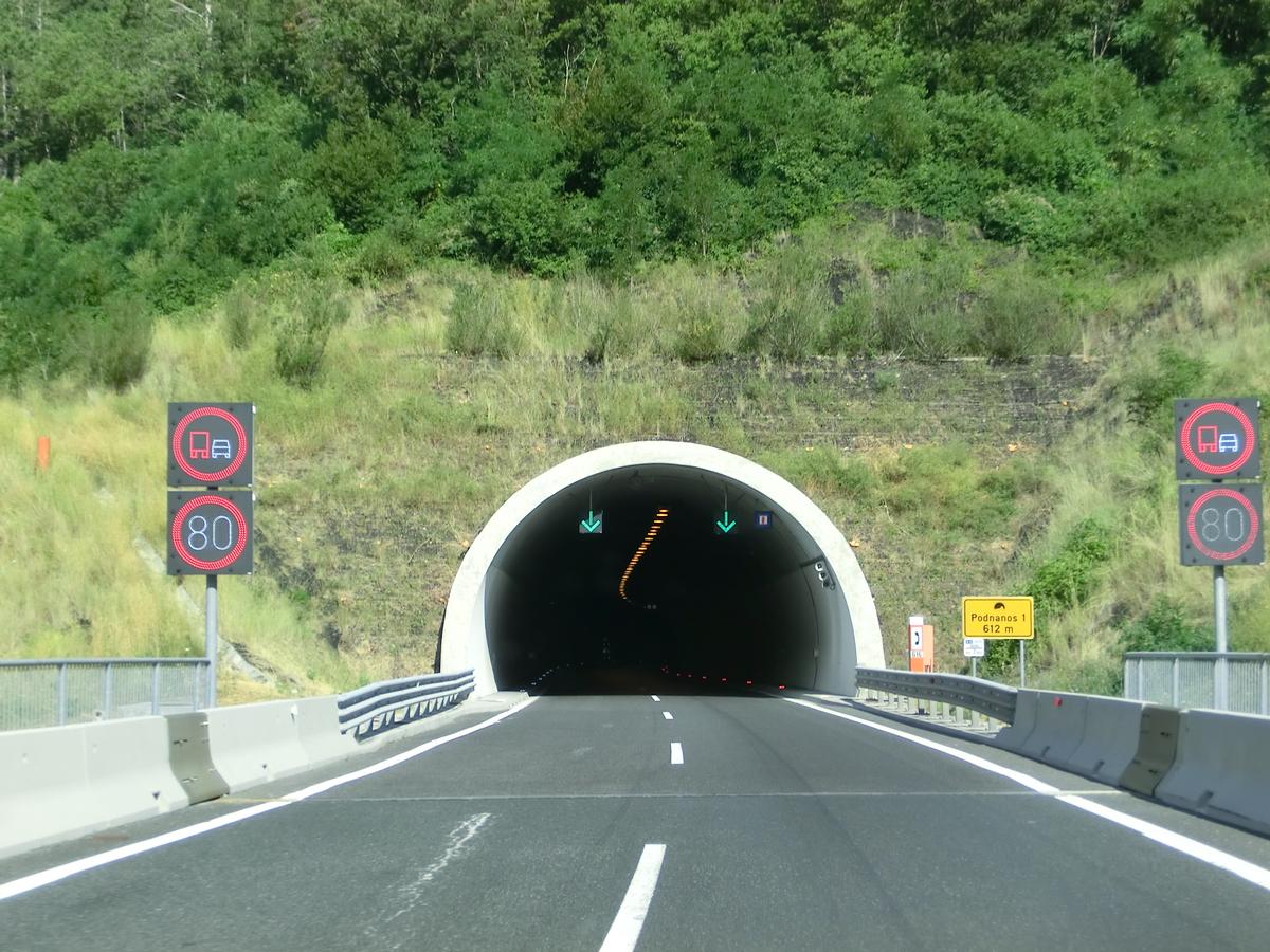 Podnanos Tunnel eastern portal 