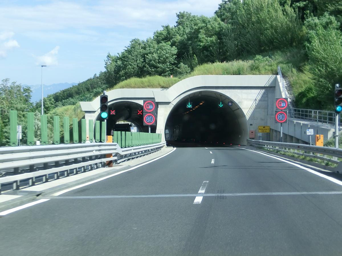Rebernice 1 Tunnel eastern portals 
