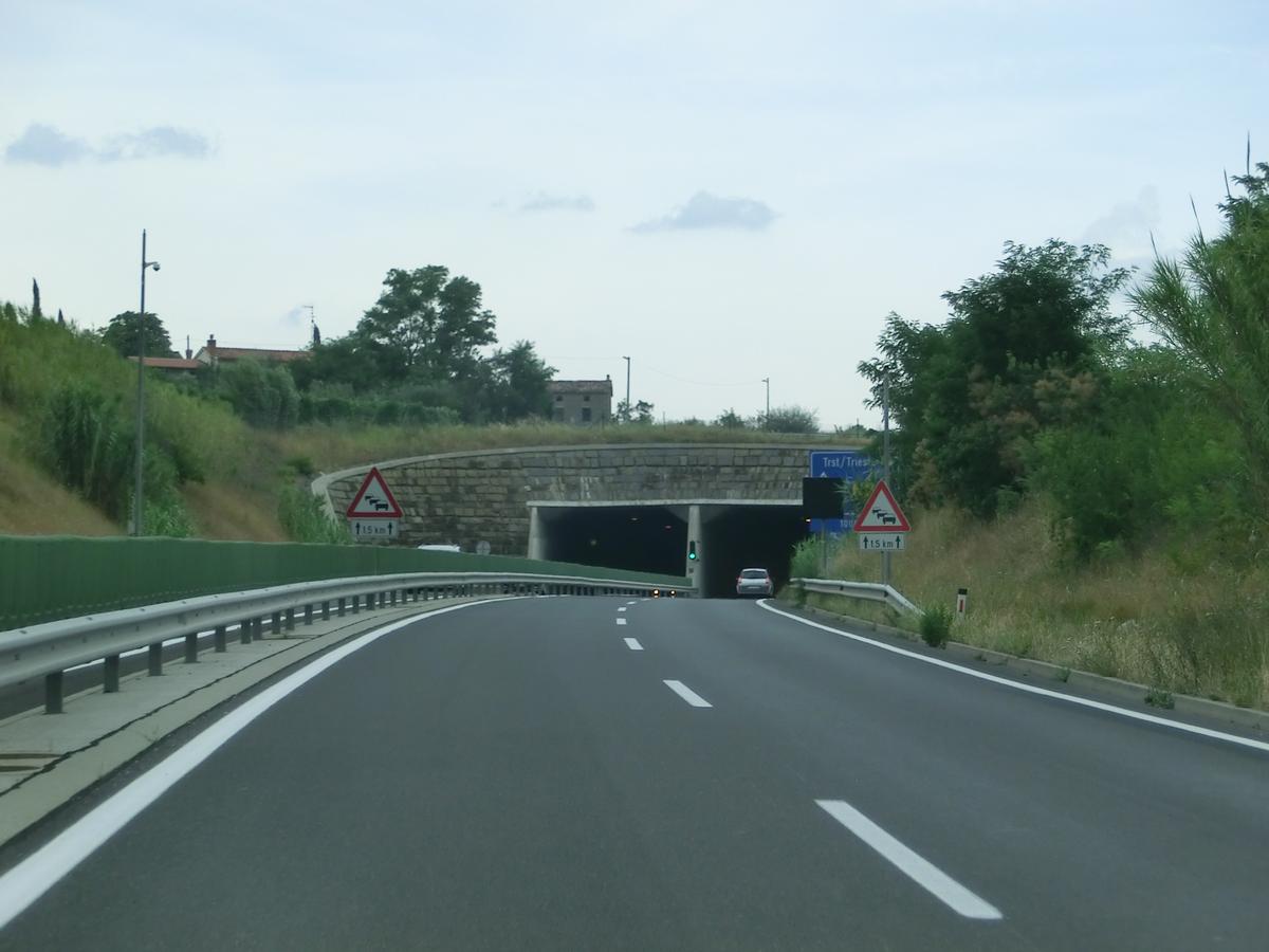 Tunnel de Scoffie 