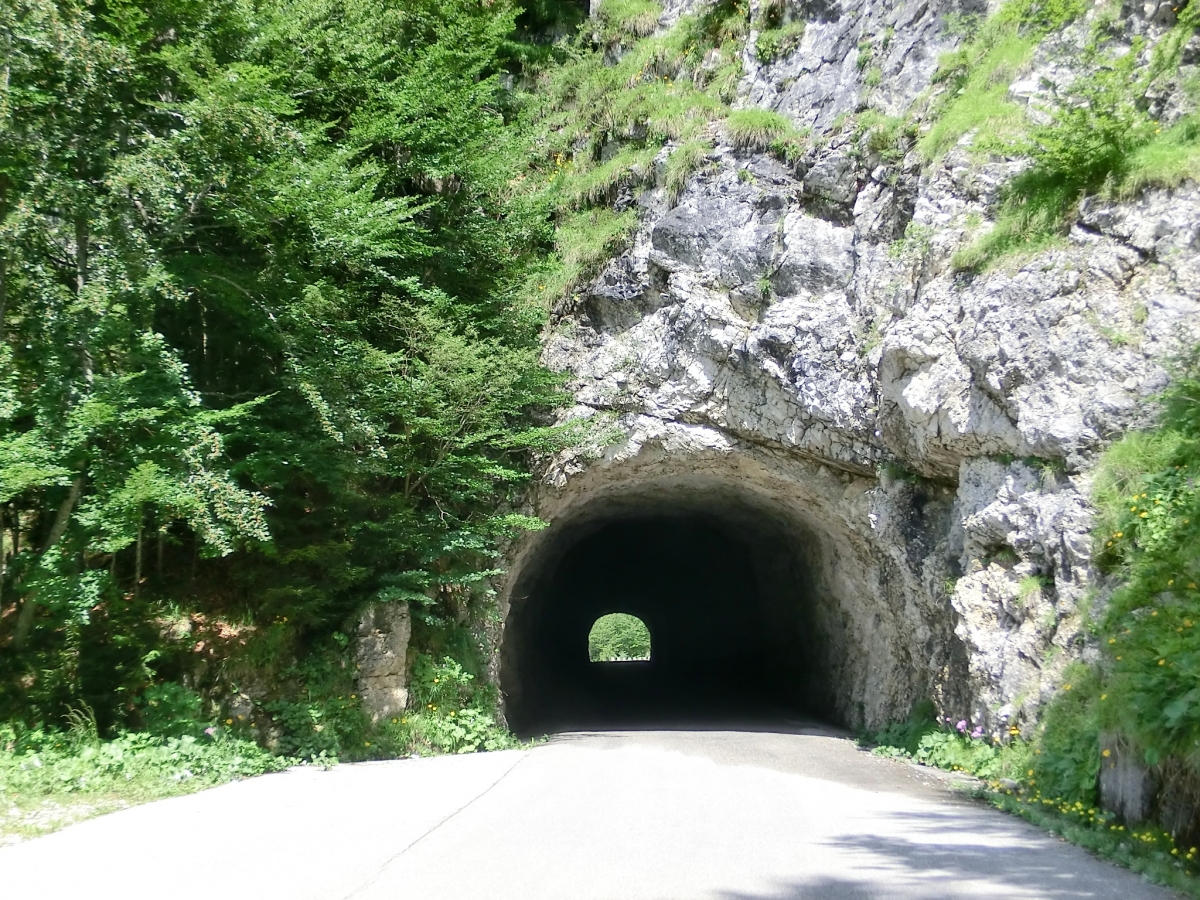 Mangrt I Tunnel southern portal 