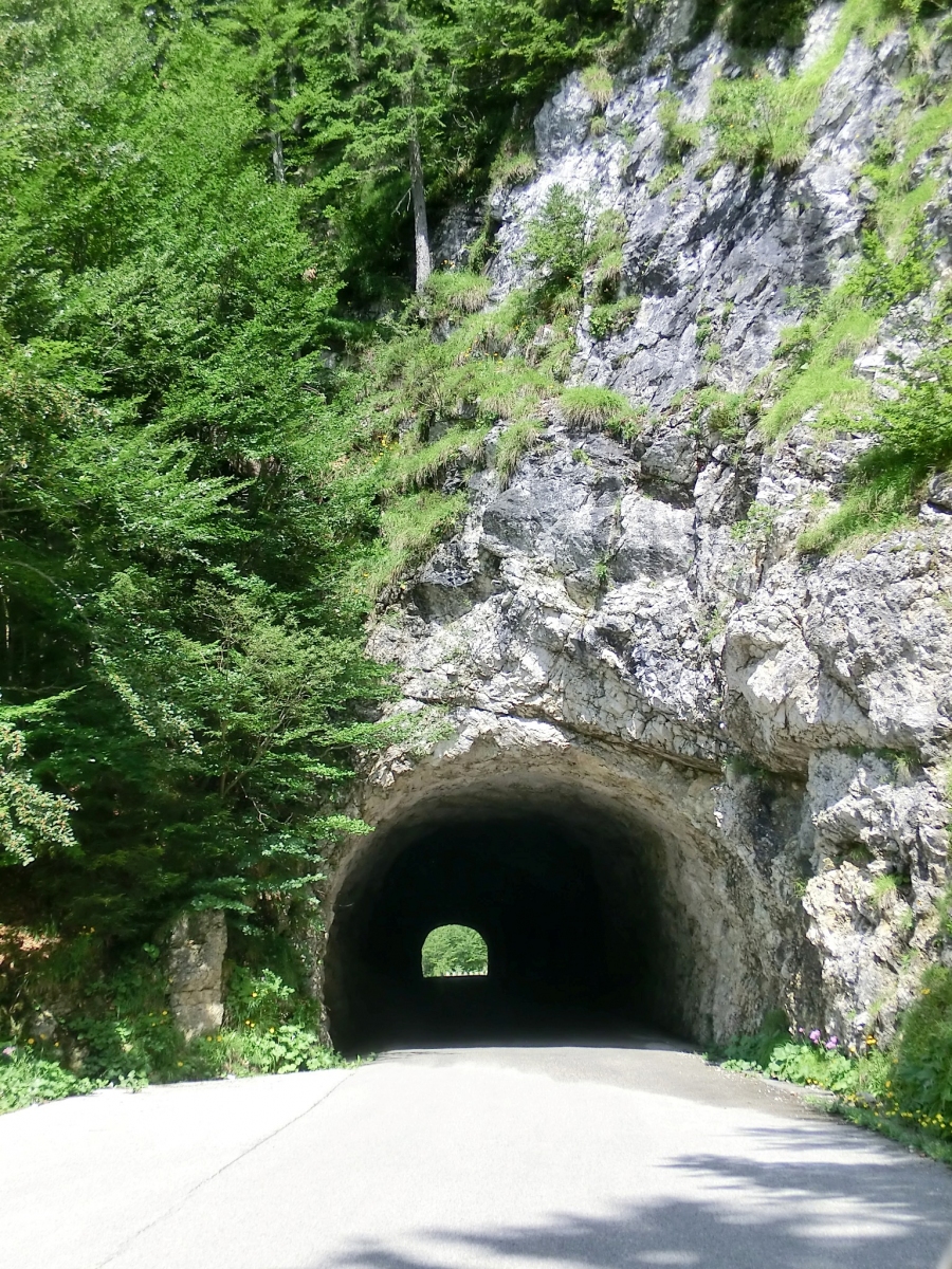 Tunnel Mangart I 