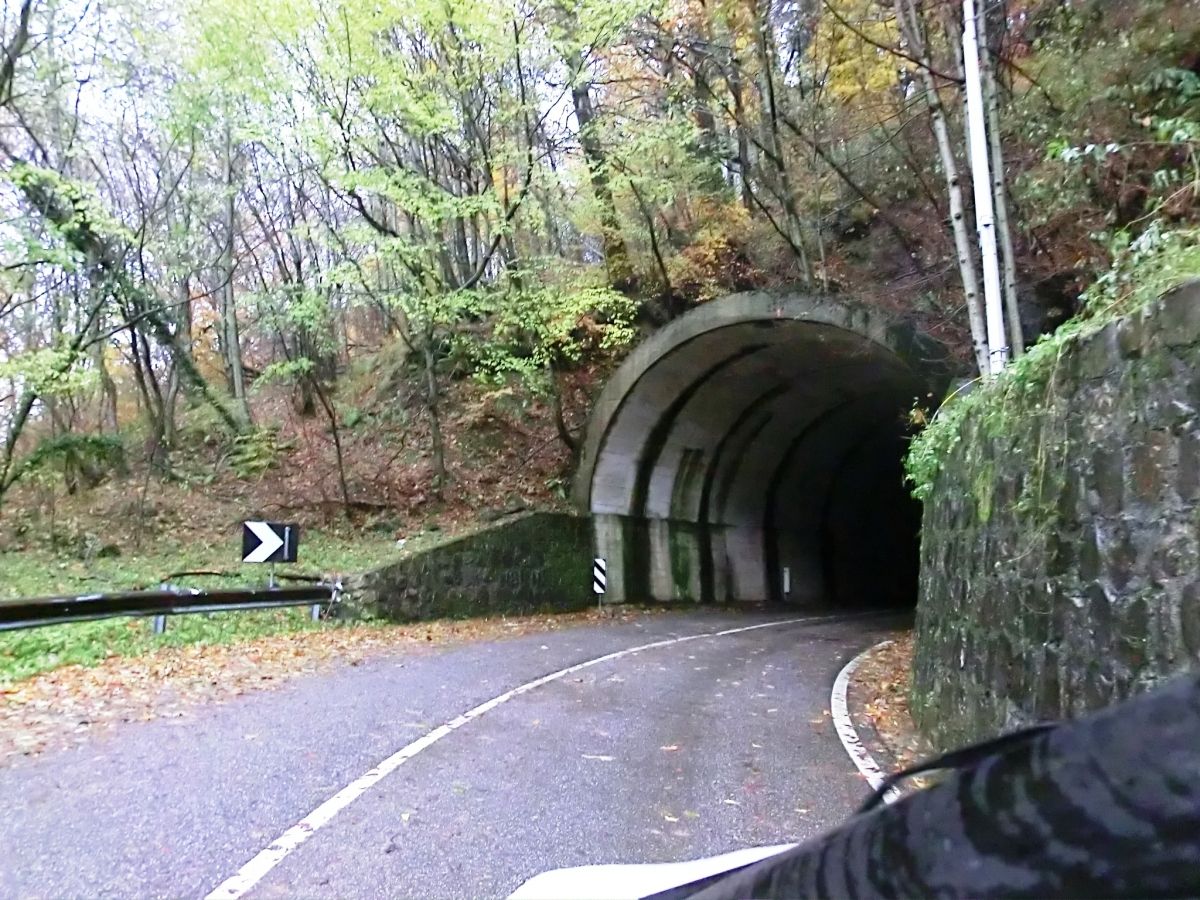 Arni Tunnel northern portal 
