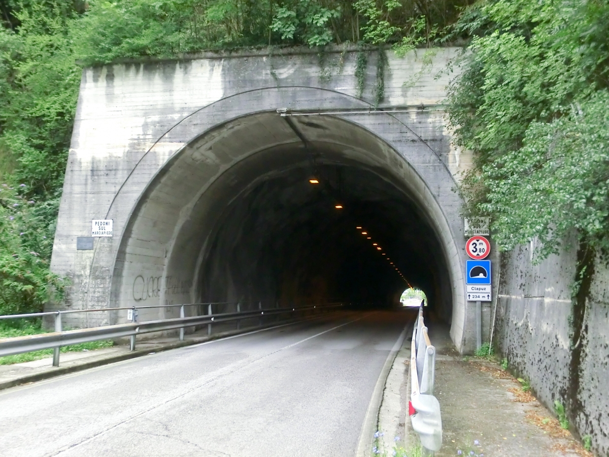 Clapuz Tunnel northern portal 