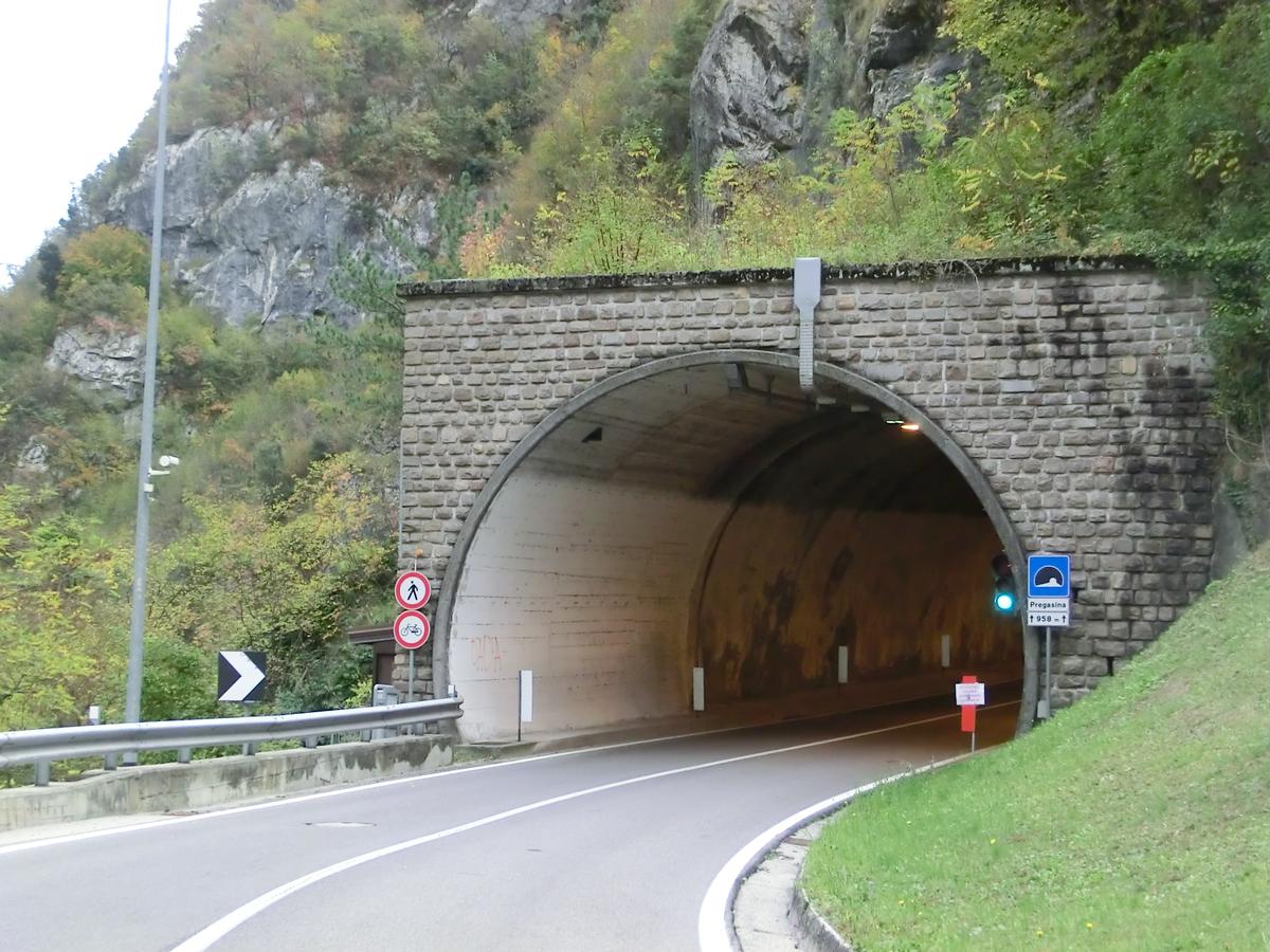 Pregasina Tunnel northern portal 