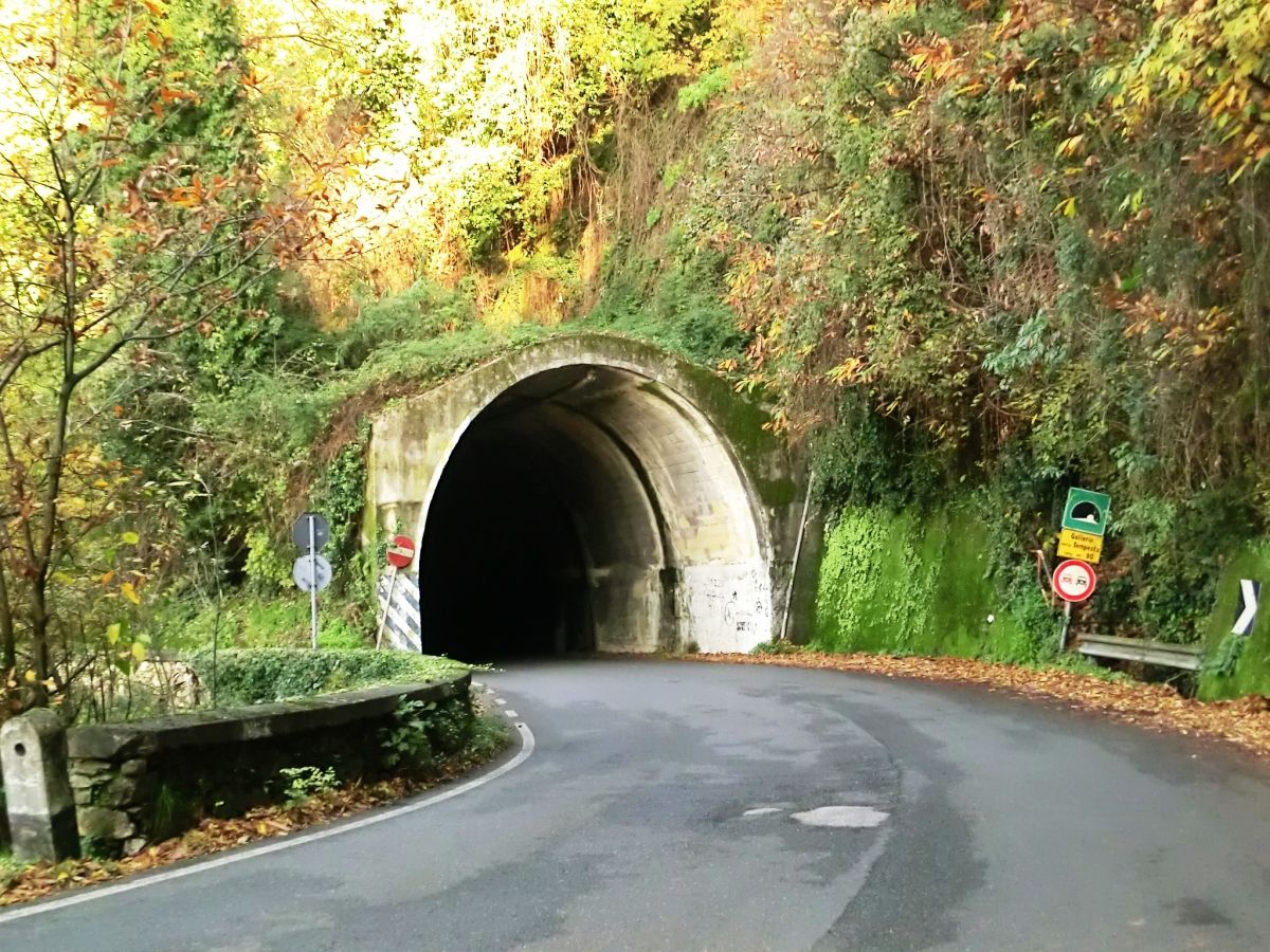 Tempesta Tunnel eastern portal 
