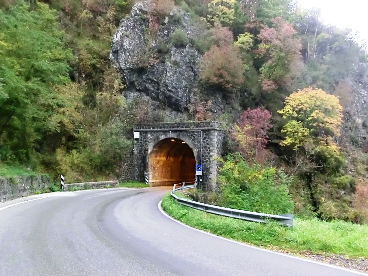 Tunnel Castagnola 