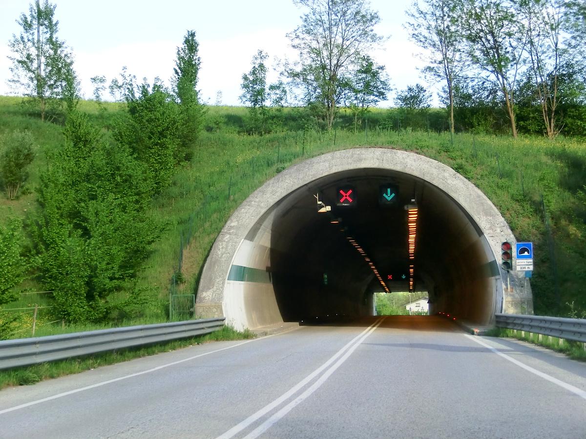 Sgrei Tunnel western portal 