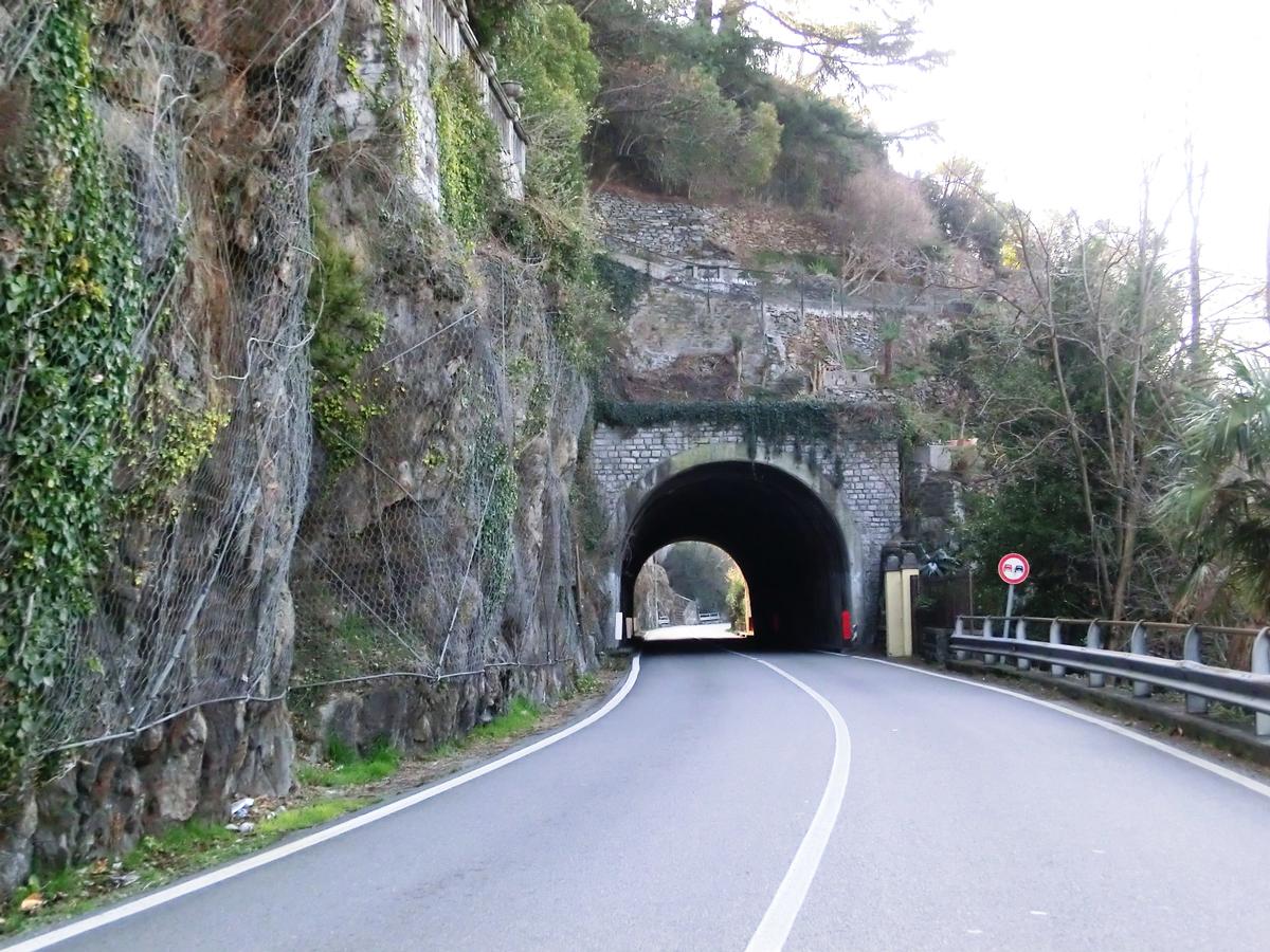 Grabbia Tunnel northern portal 