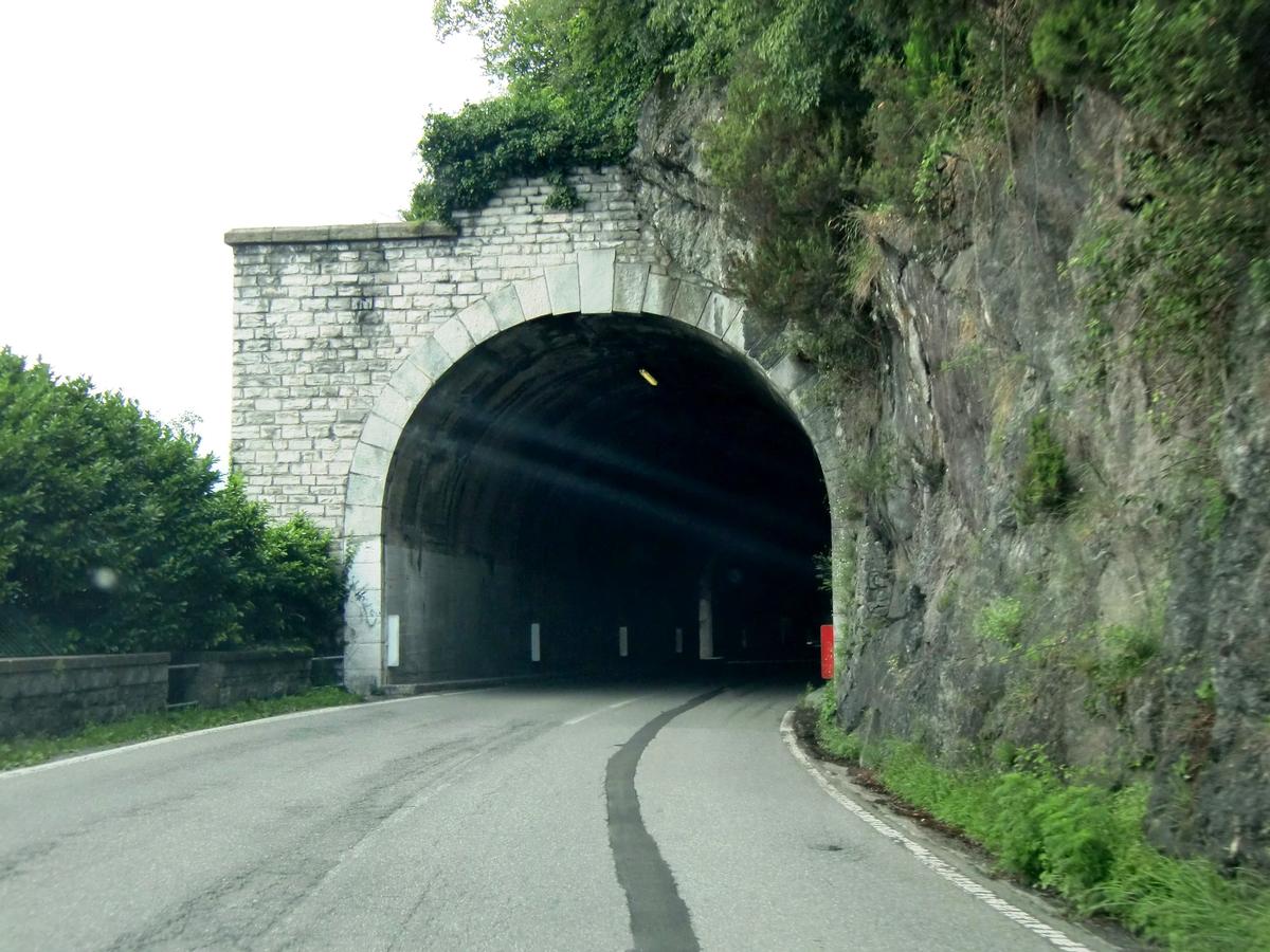 Cantone Tunnel southern portal 