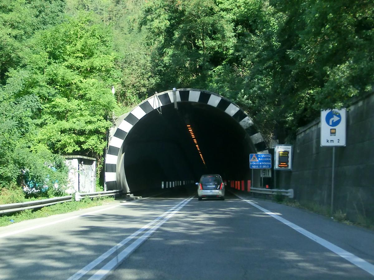 Tunnel de Monte Cognolo 