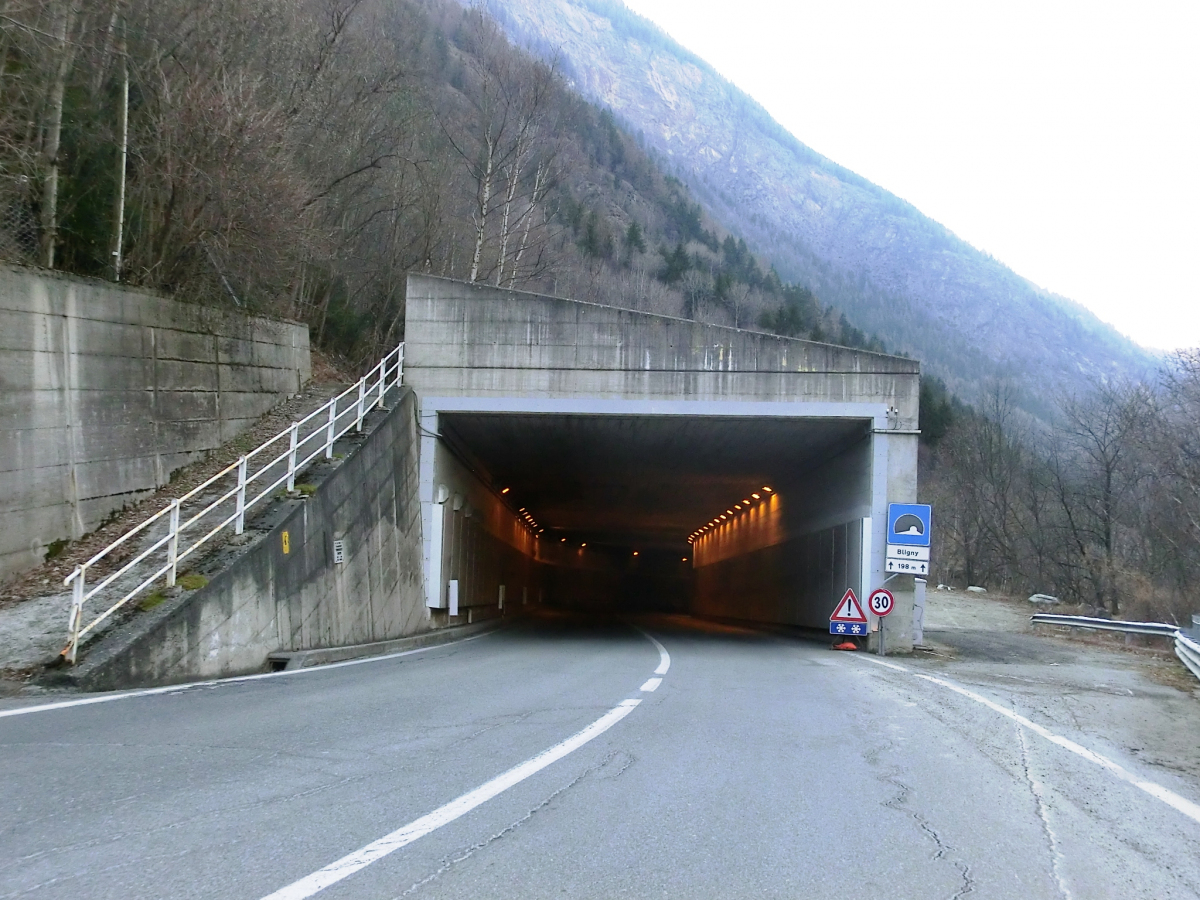 Bligny Tunnel 
