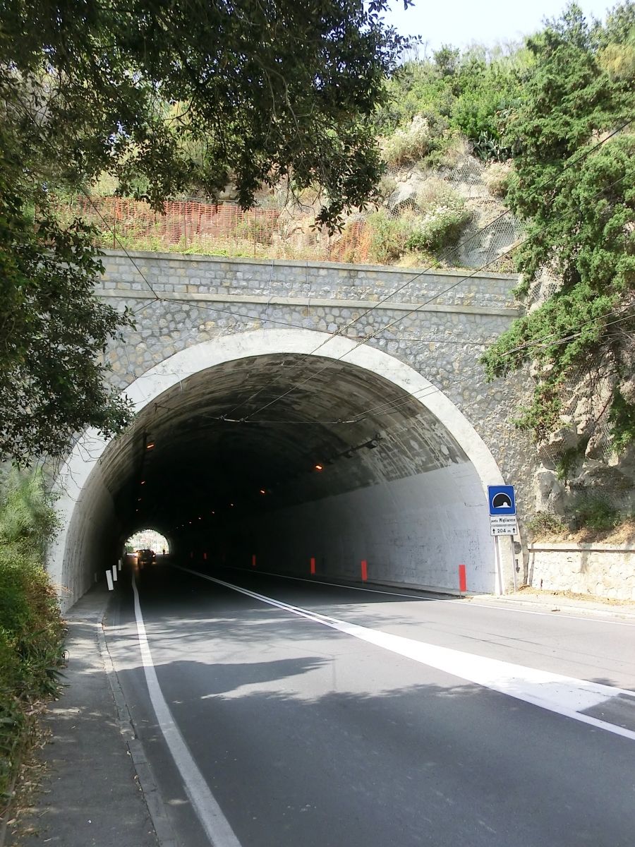 Punta Migliarese Tunnel eastern portal 