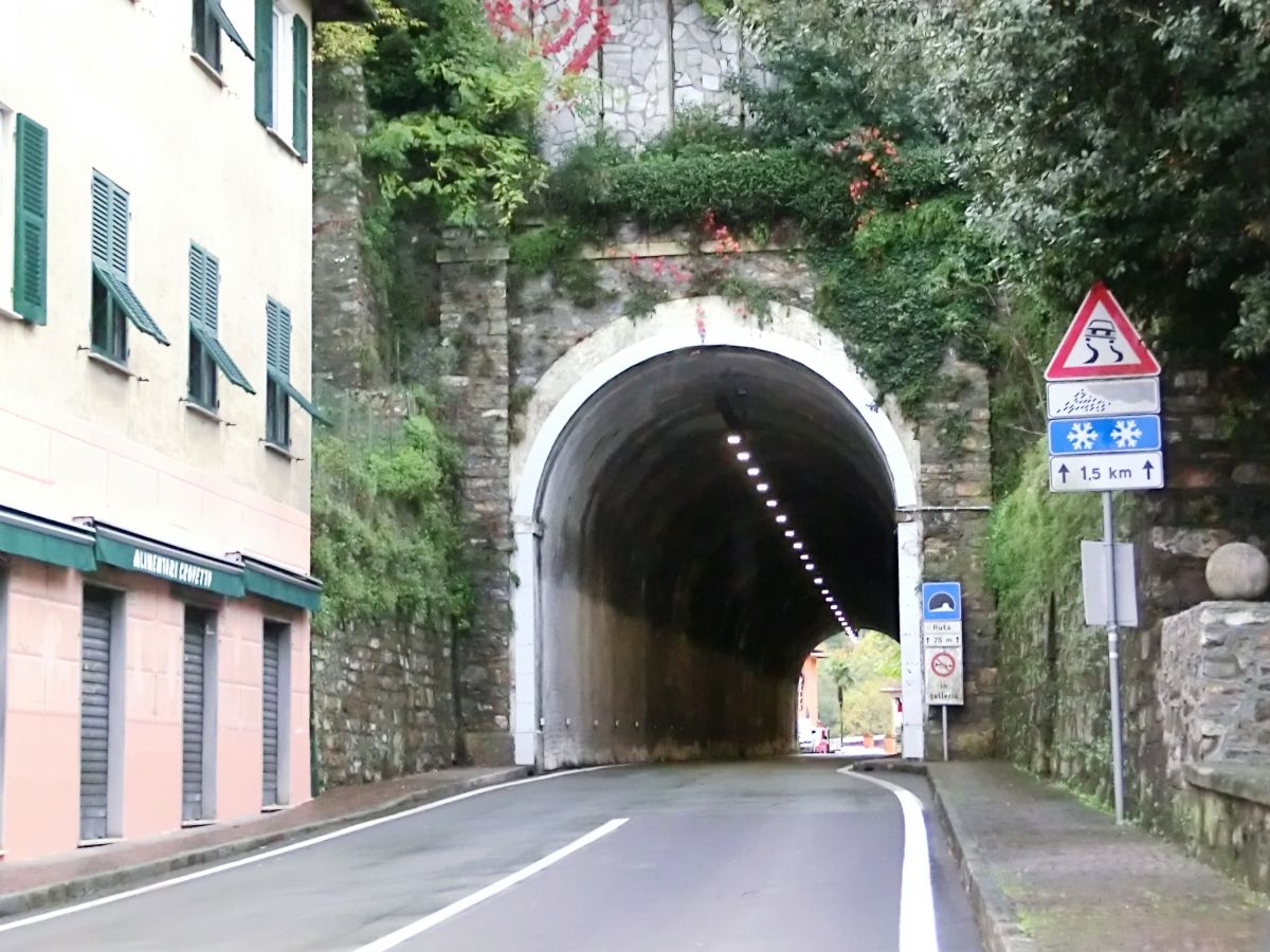 SS1 Ruta Tunnel western portal 