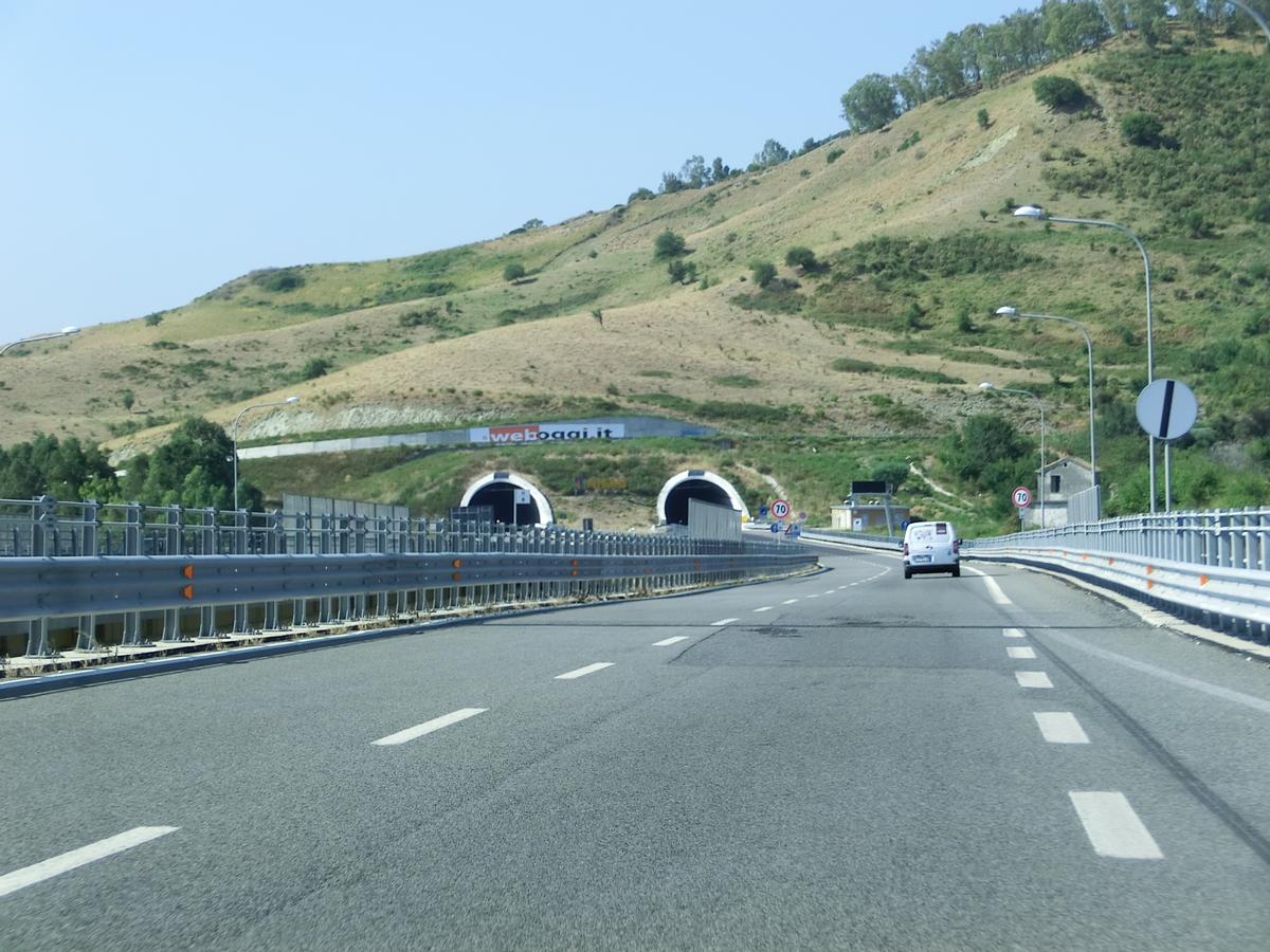 Sellara Tunnel northern portals 