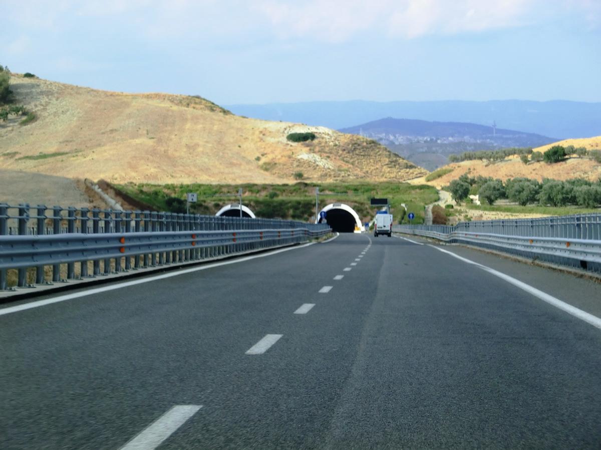 Sellara Tunnel southern portals 