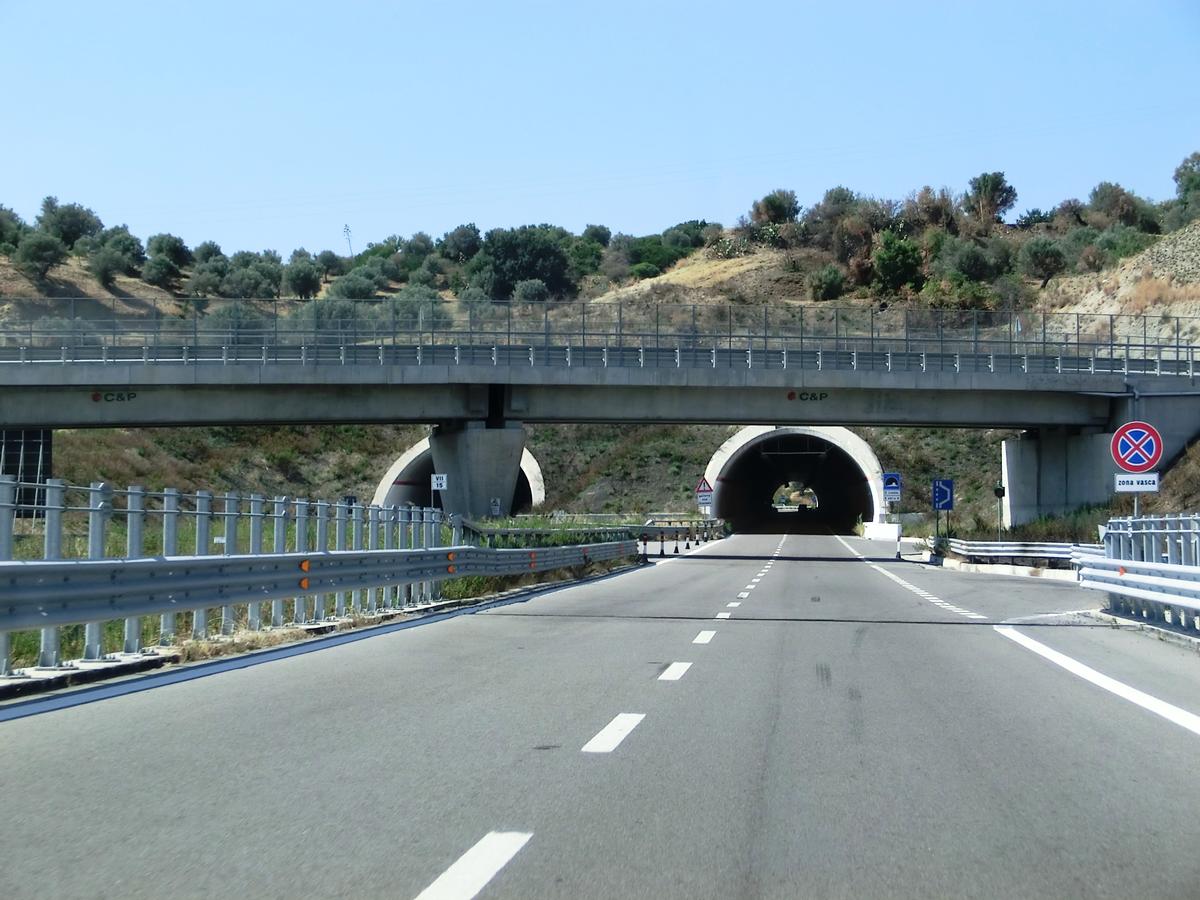 Limbia Tunnel eastern portals 