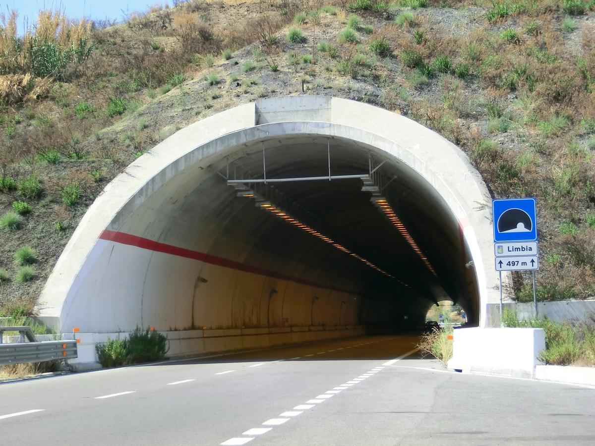 Limbia Tunnel eastern portal 